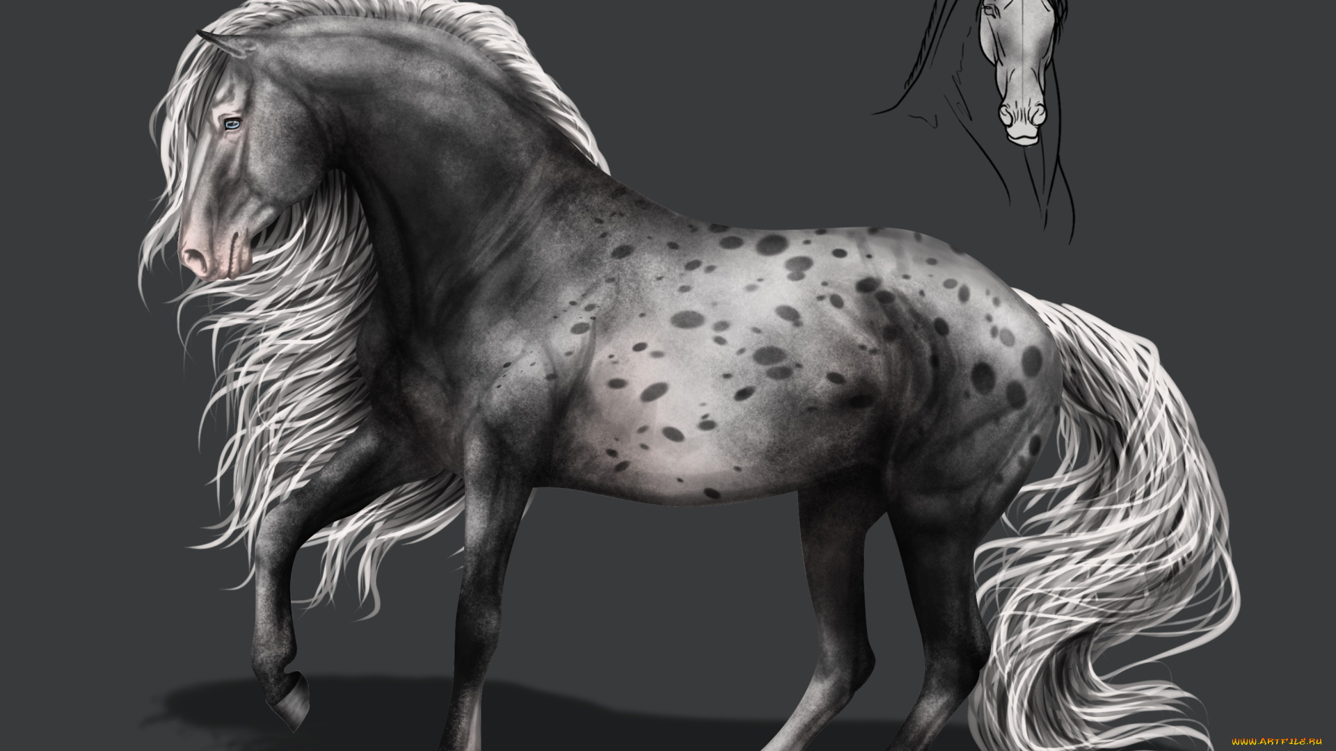 рисованное, животные, , лошади, грива, конь, фон