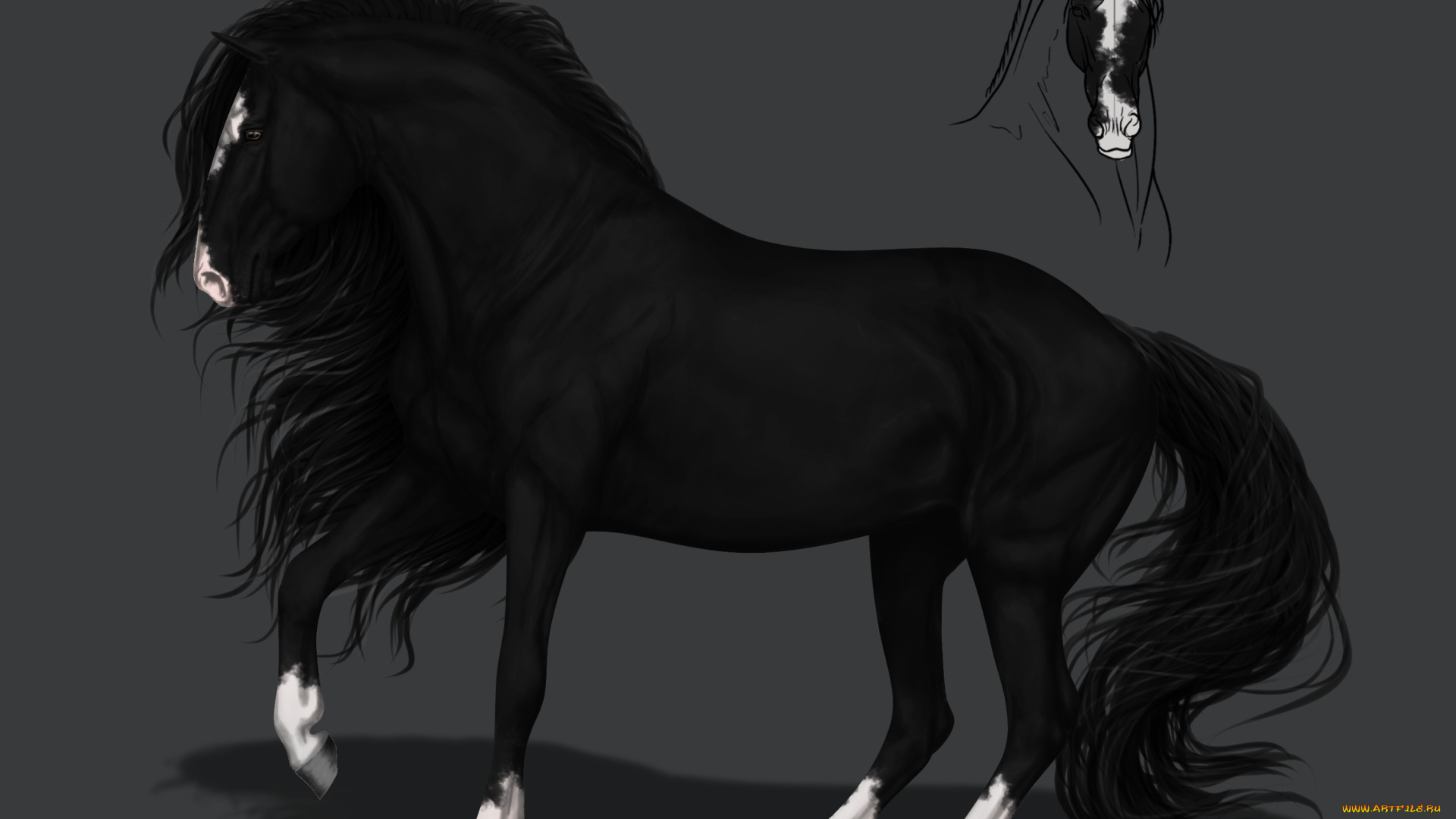 рисованное, животные, , лошади, конь, грива, фон