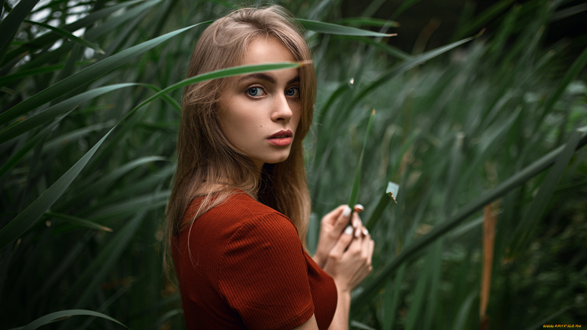 девушка, девушки, -unsort, , блондинки, , светловолосые, модель, даша