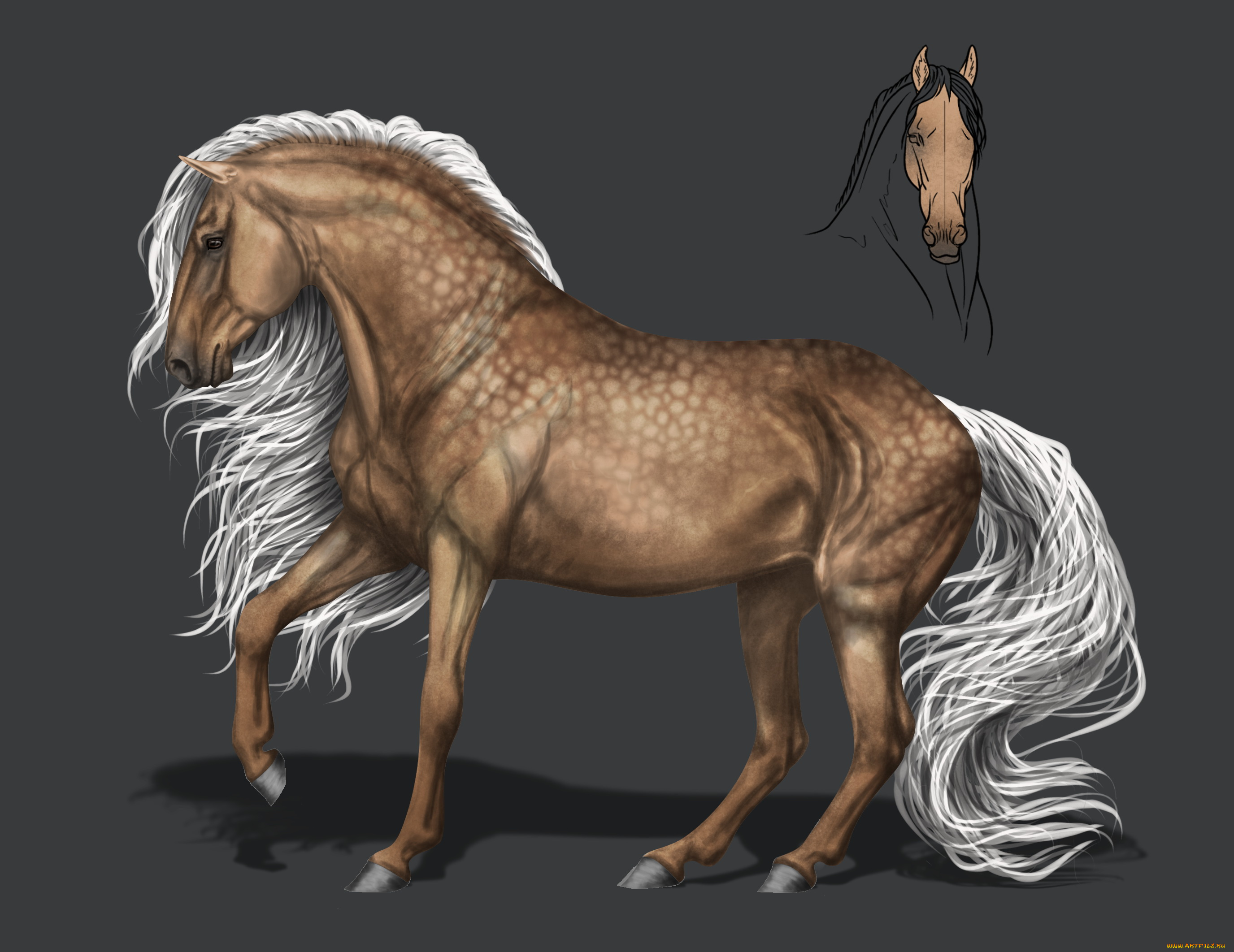 рисованное, животные, , лошади, грива, конь, фон