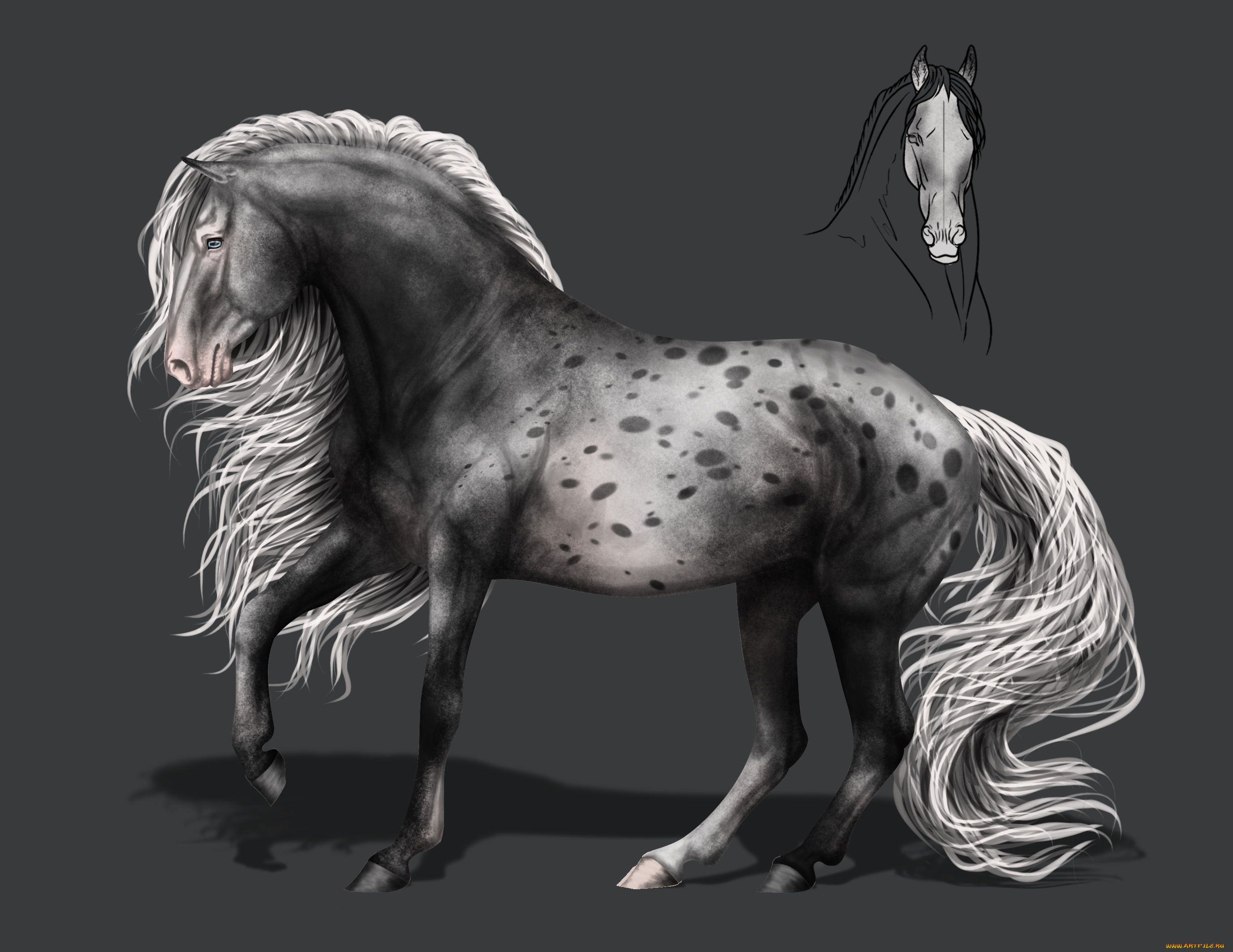 рисованное, животные, , лошади, грива, конь, фон