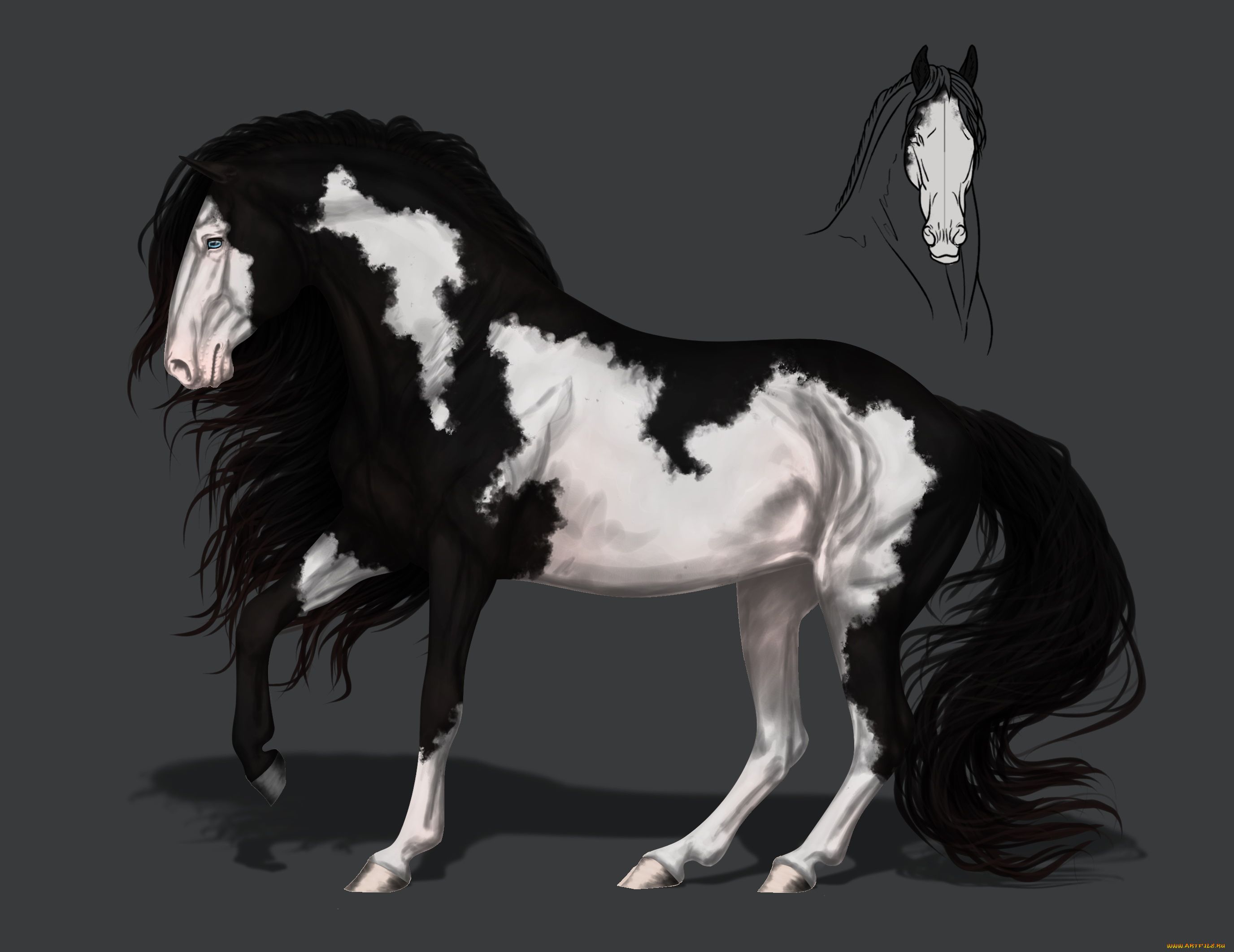 рисованное, животные, , лошади, грива, конь, фон