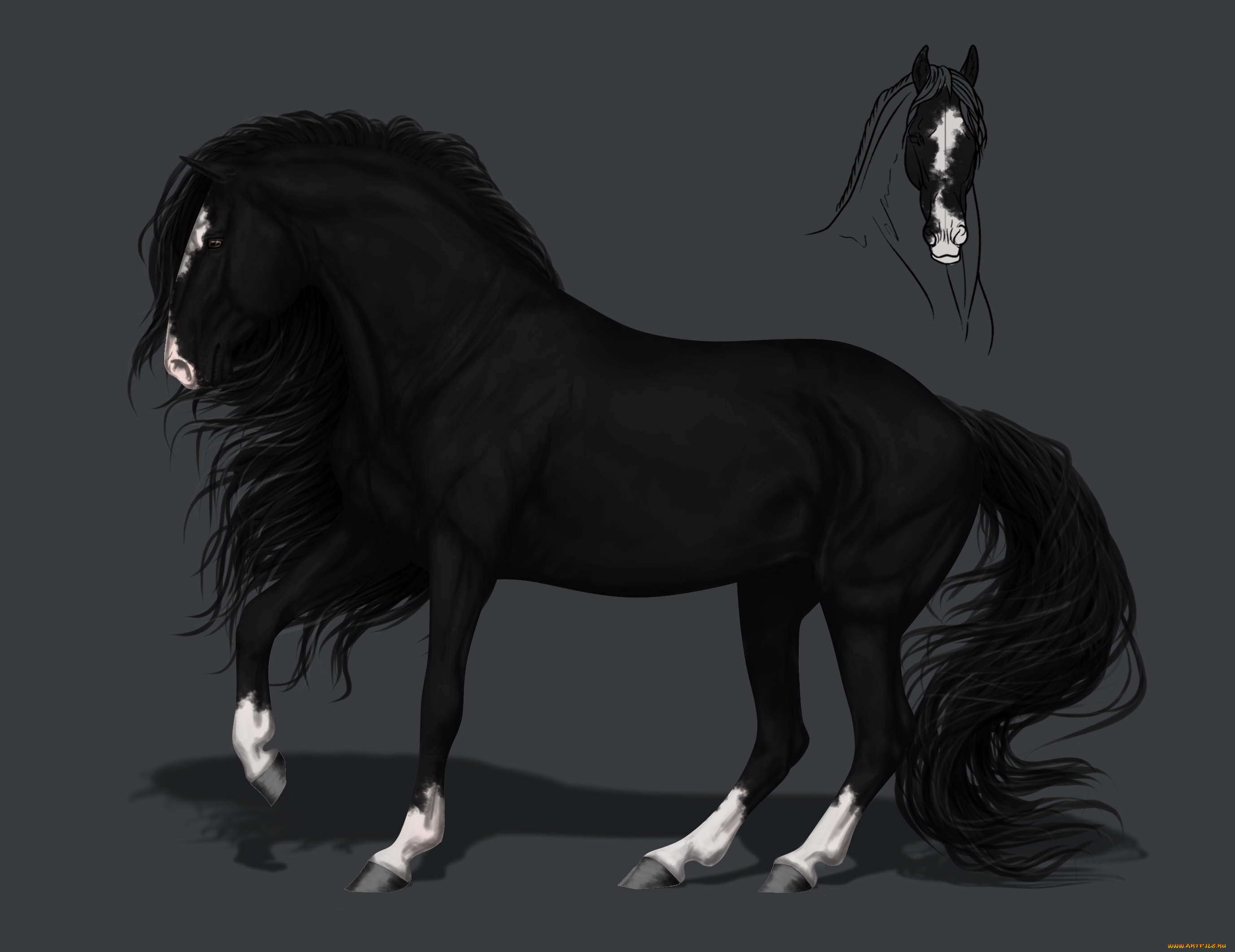 рисованное, животные, , лошади, конь, грива, фон