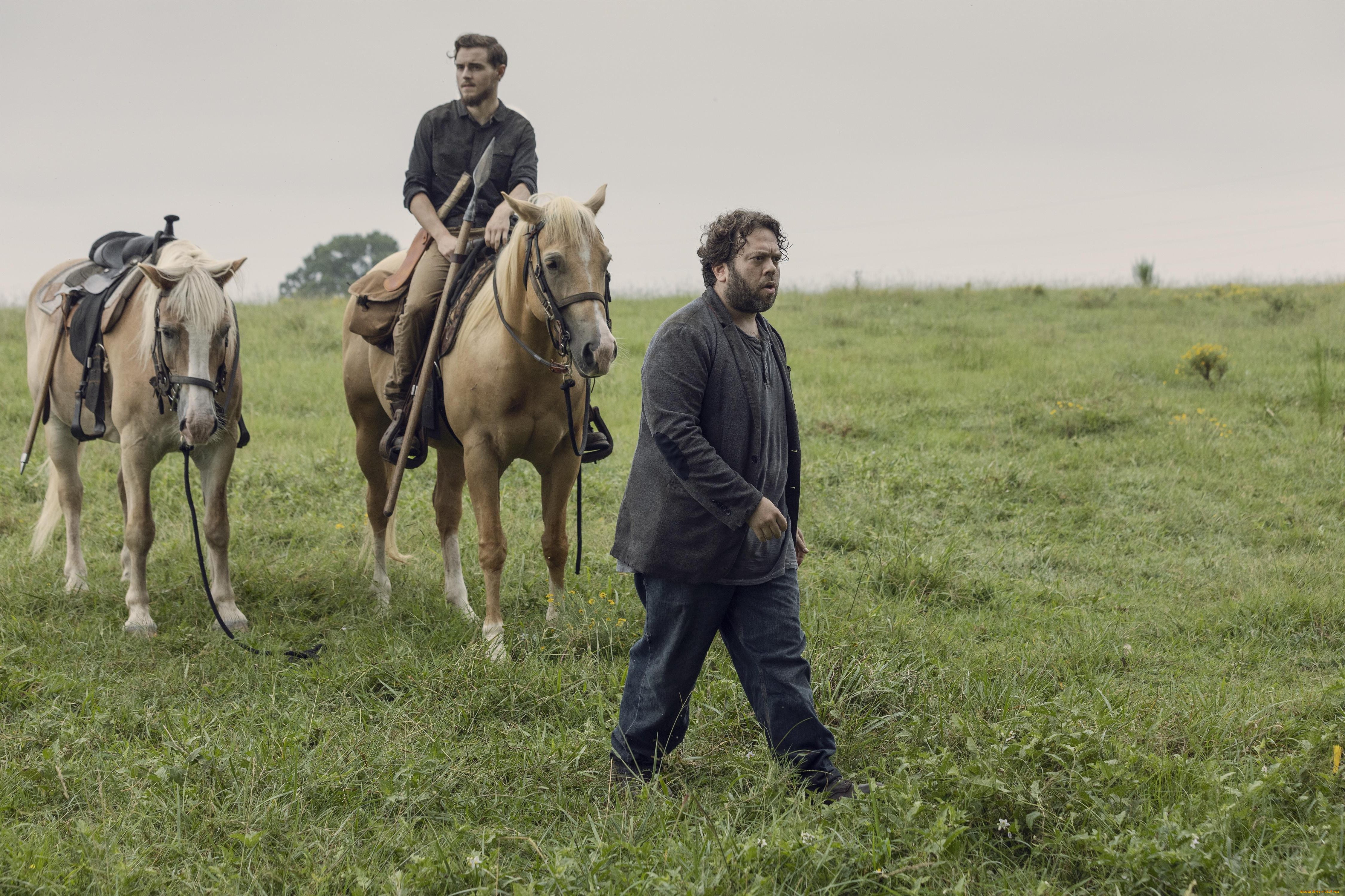 кино, фильмы, the, walking, dead, the, walking, dead