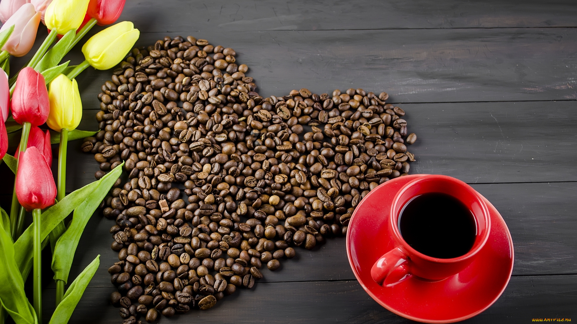 еда, кофе, , кофейные, зёрна, тюльпаны, зерна, цветы