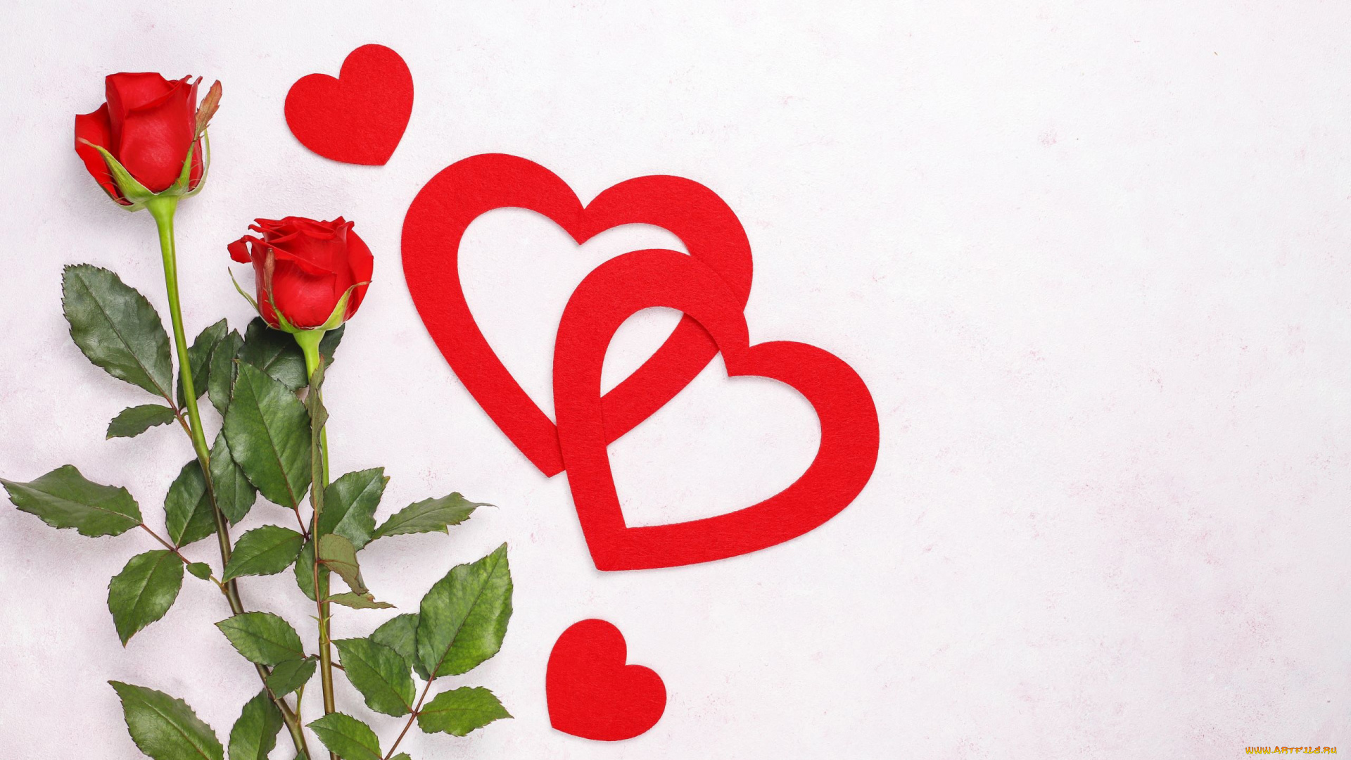 праздничные, день, святого, валентина, , сердечки, , любовь, розы, сердечки