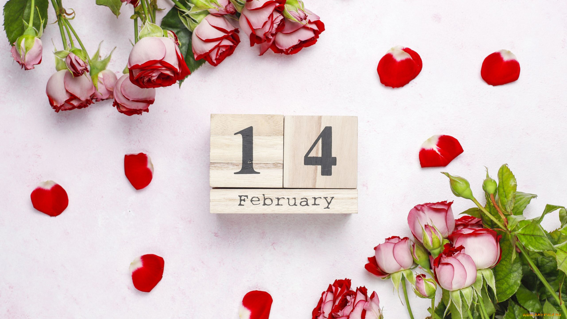 праздничные, день, святого, валентина, , сердечки, , любовь, дата, число, лепестки, розы