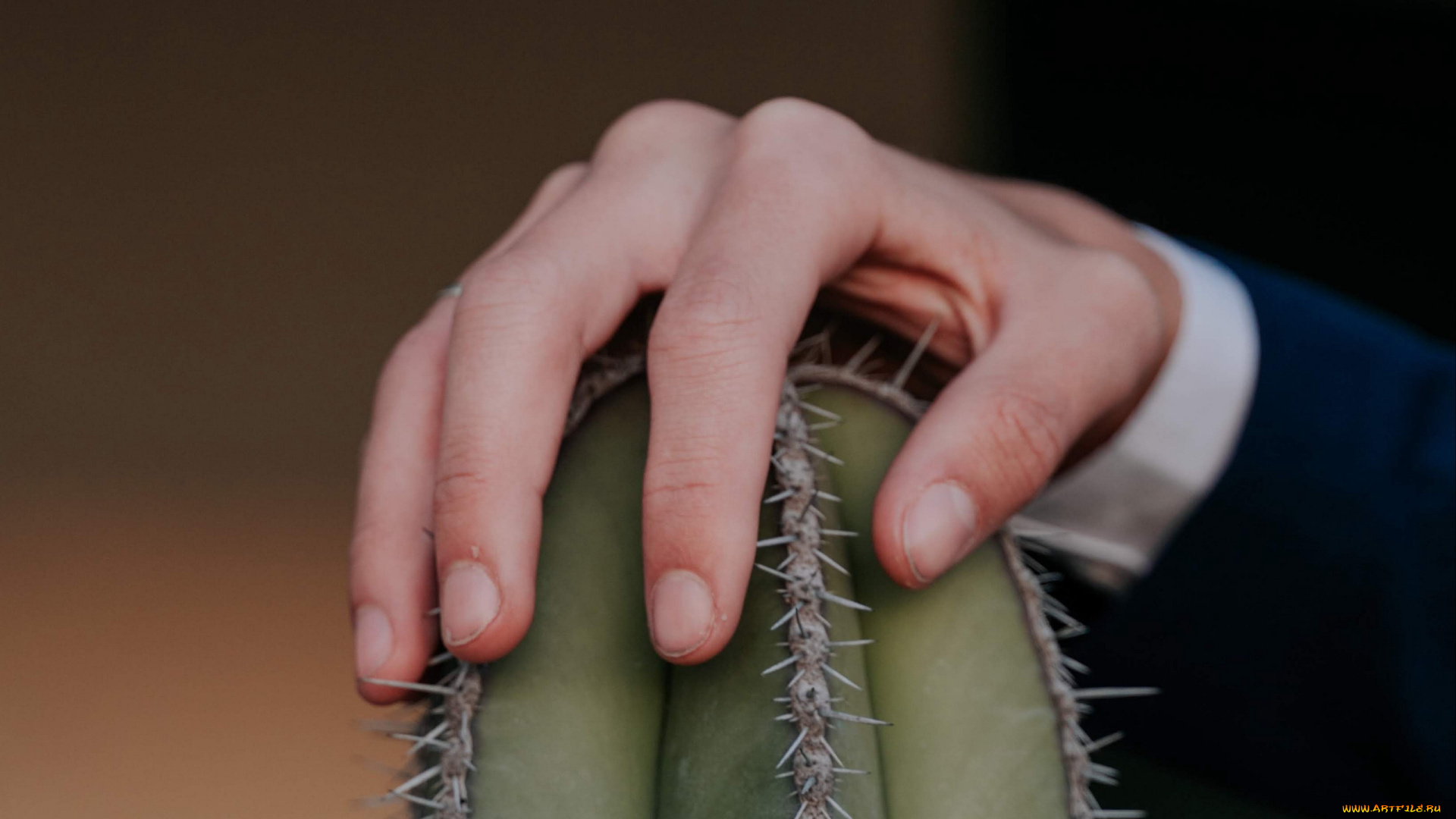 разное, руки, , ноги, рука, кактус