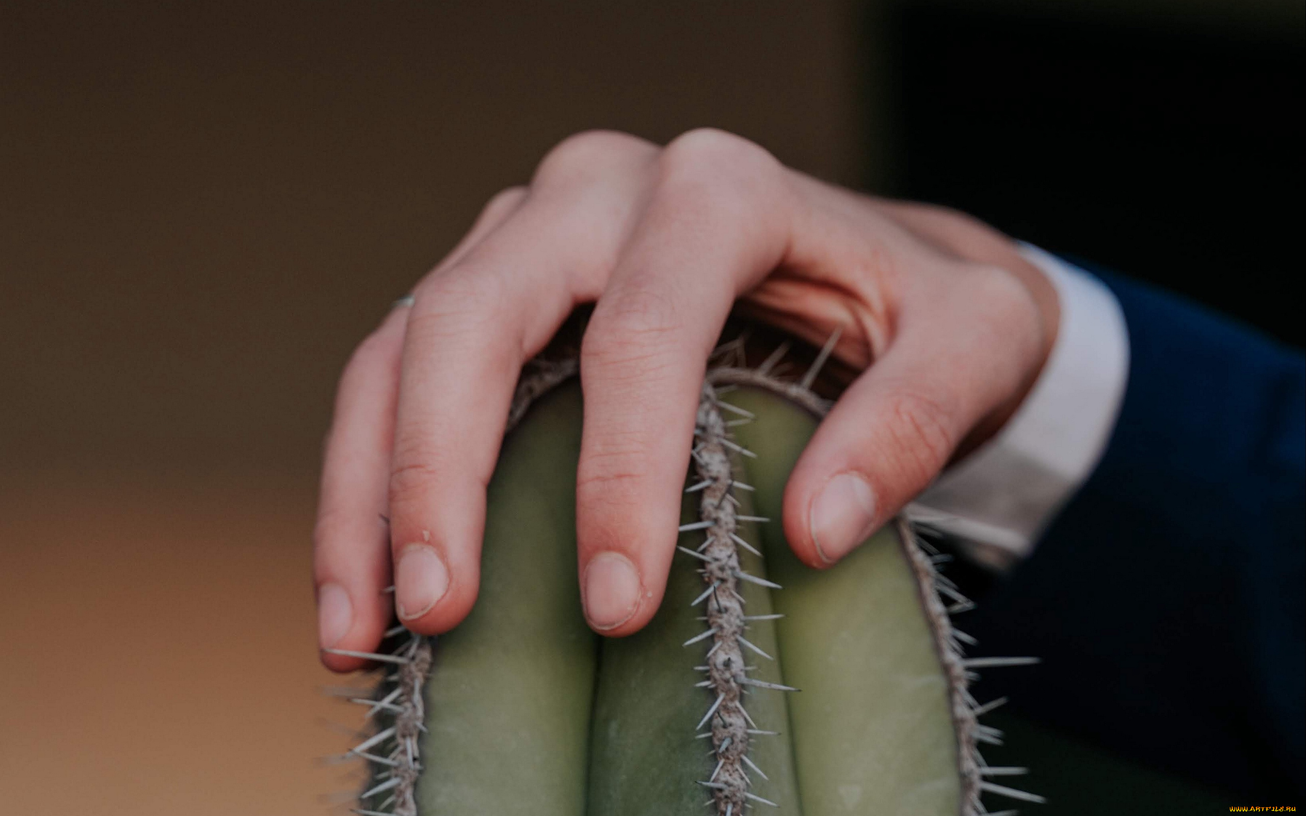 разное, руки, , ноги, рука, кактус