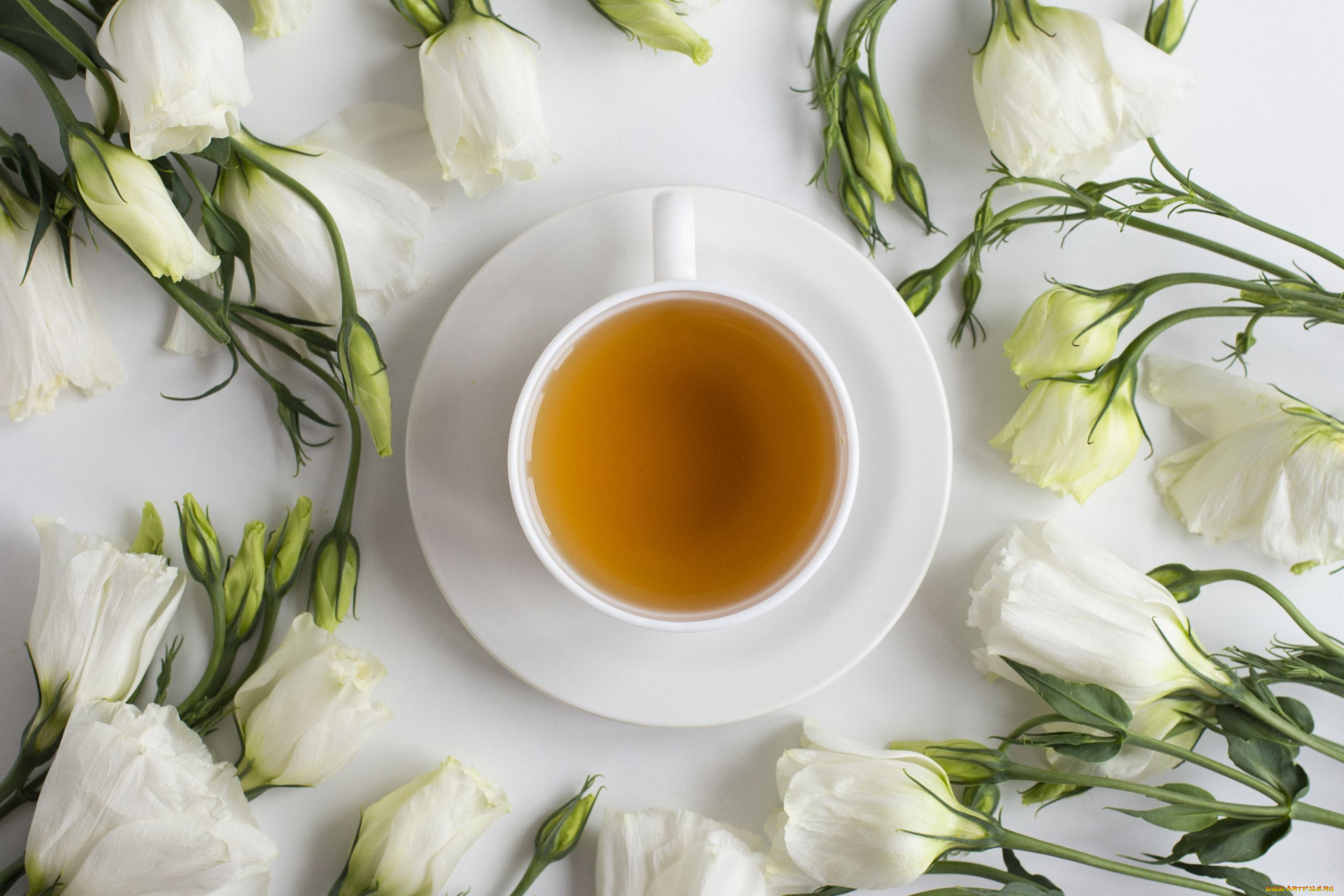 еда, напитки, , чай, эустома, чай