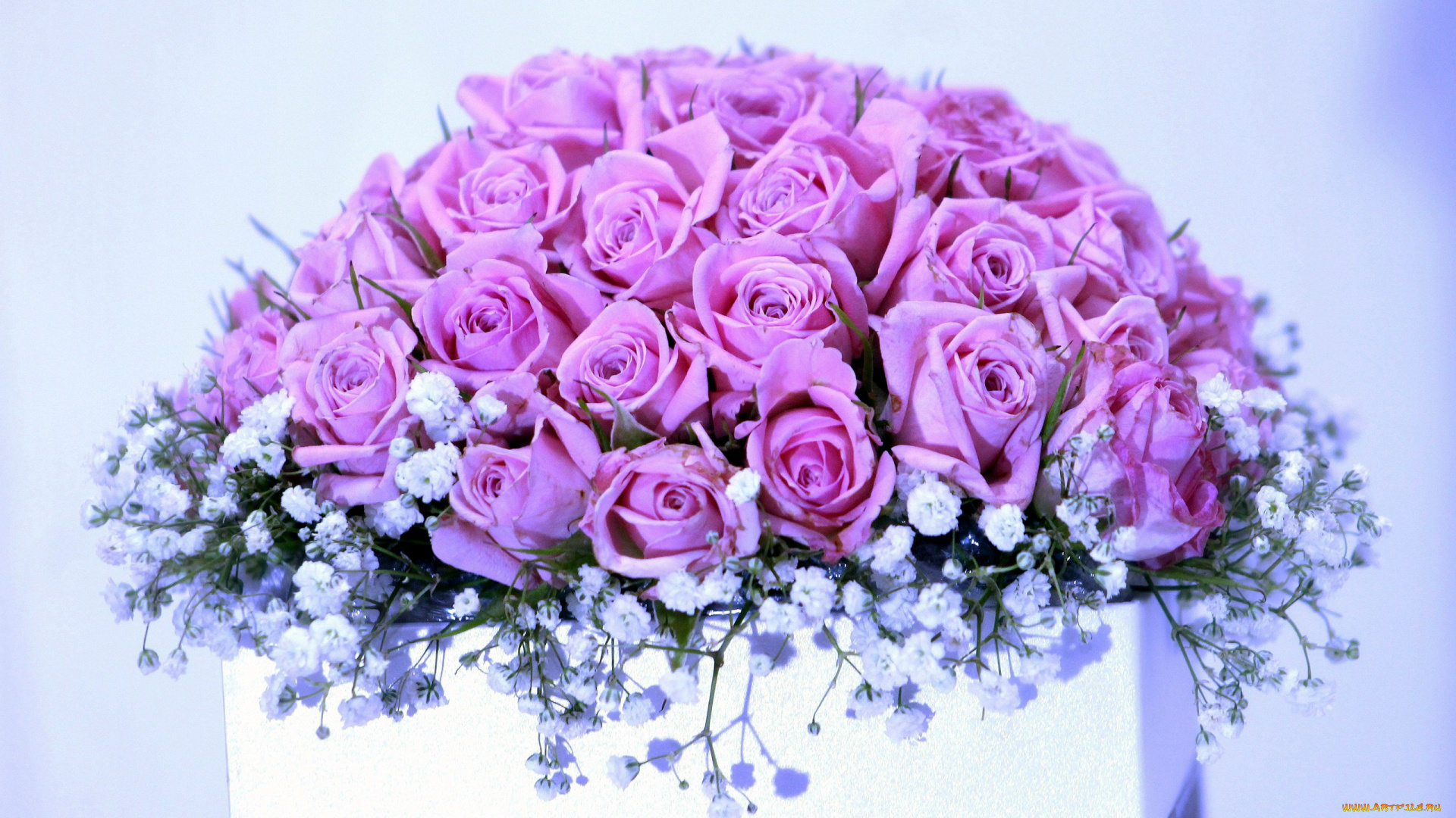 цветы, букеты, , композиции, розовые, розы, гипсофила, букет