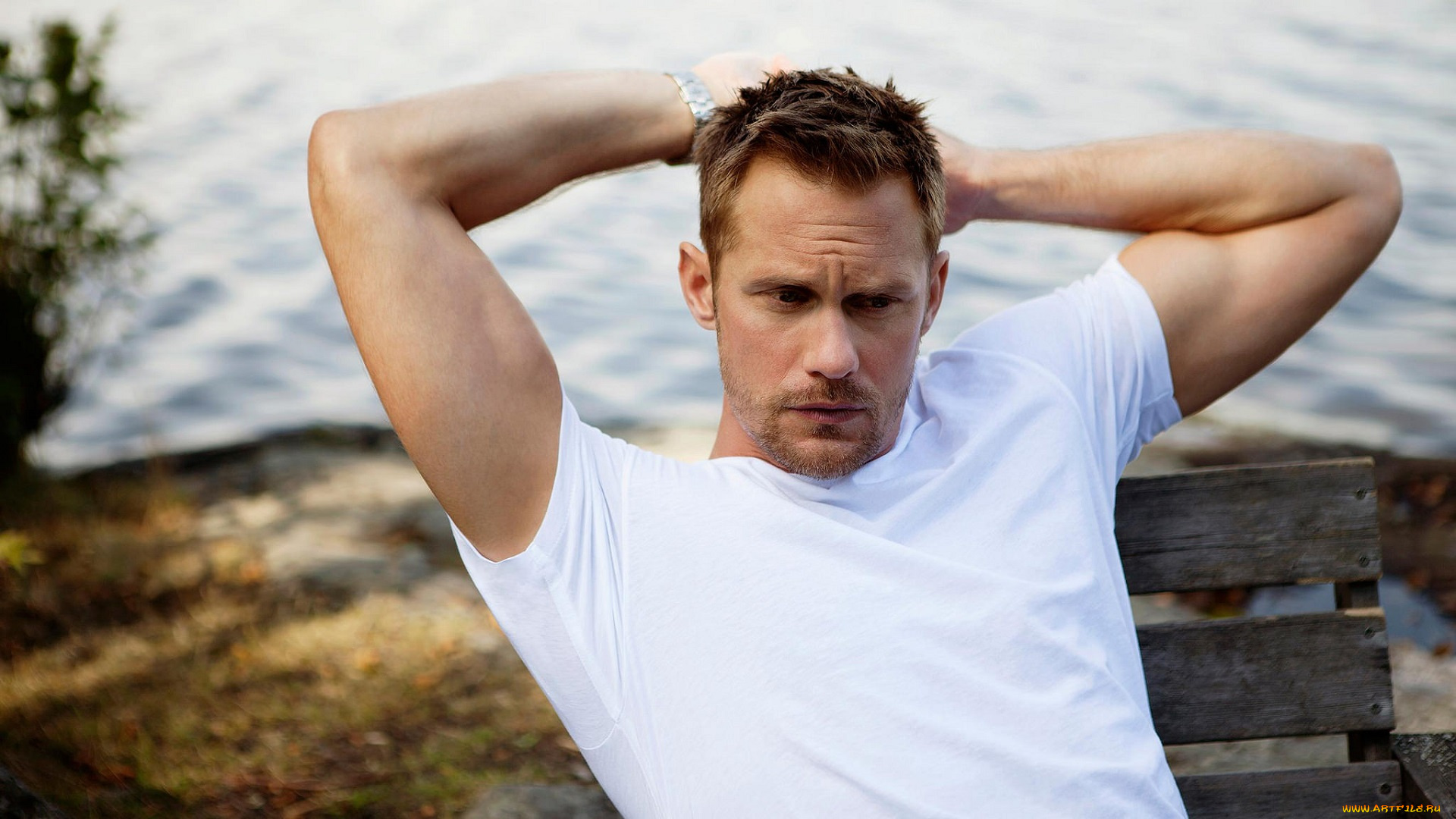 мужчины, alexander, skarsg&, 229, rd, alexander, skarsgard