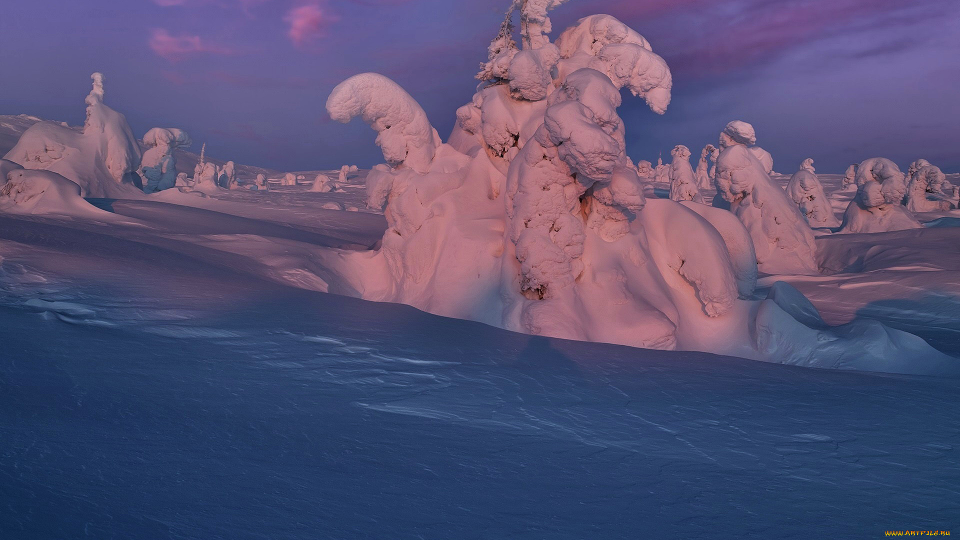 природа, зима, снег, сугробы