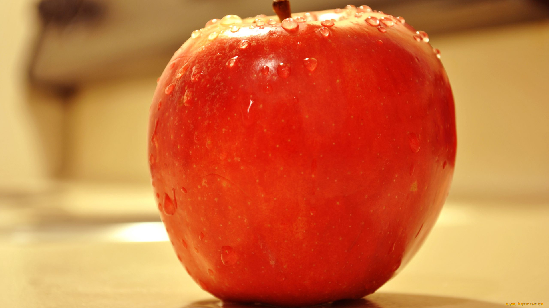 еда, яблоки, красное, яблоко, макро, капли