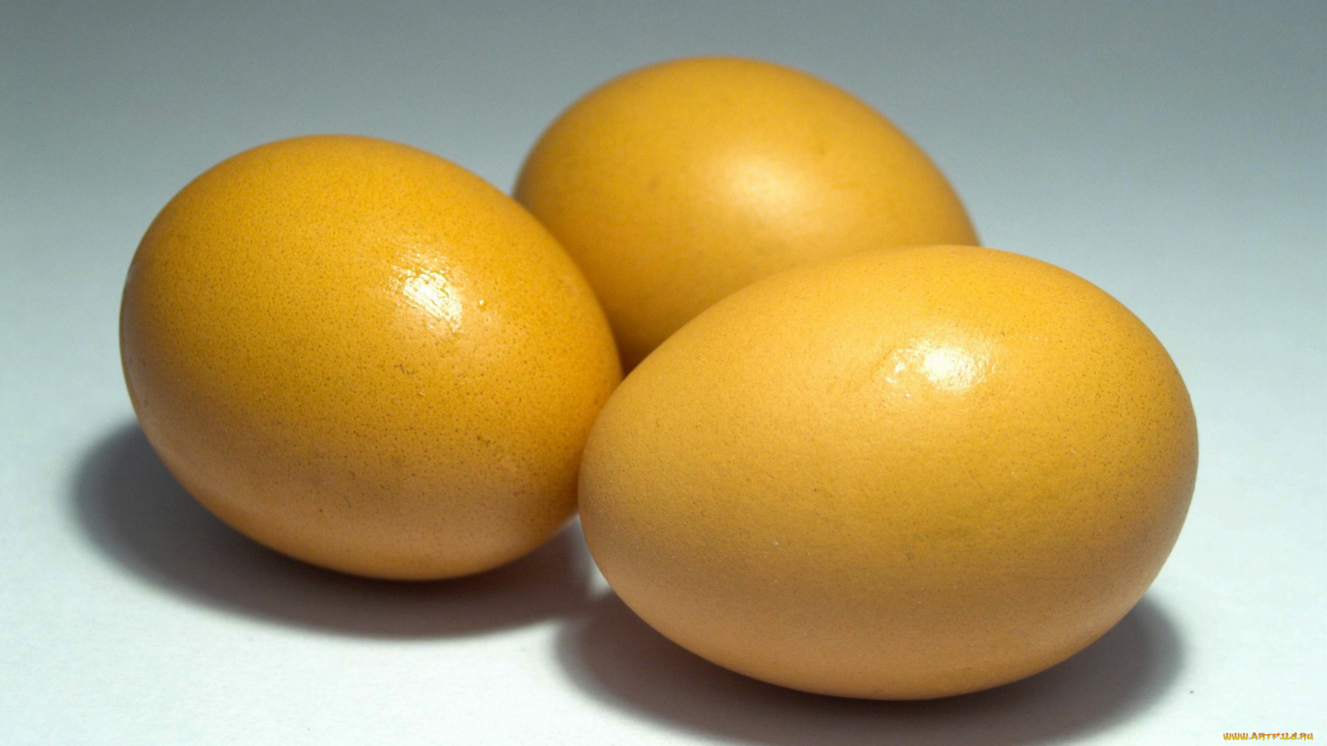 еда, яйца, свежие