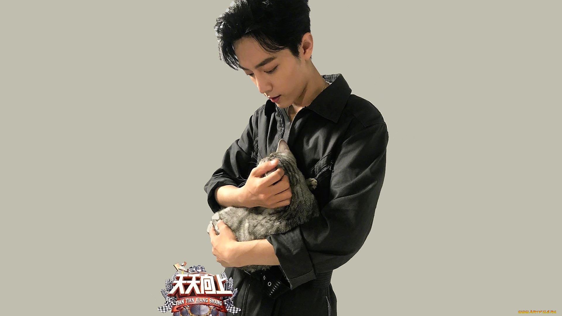 мужчины, xiao, zhan, актер, комбинезон, кот