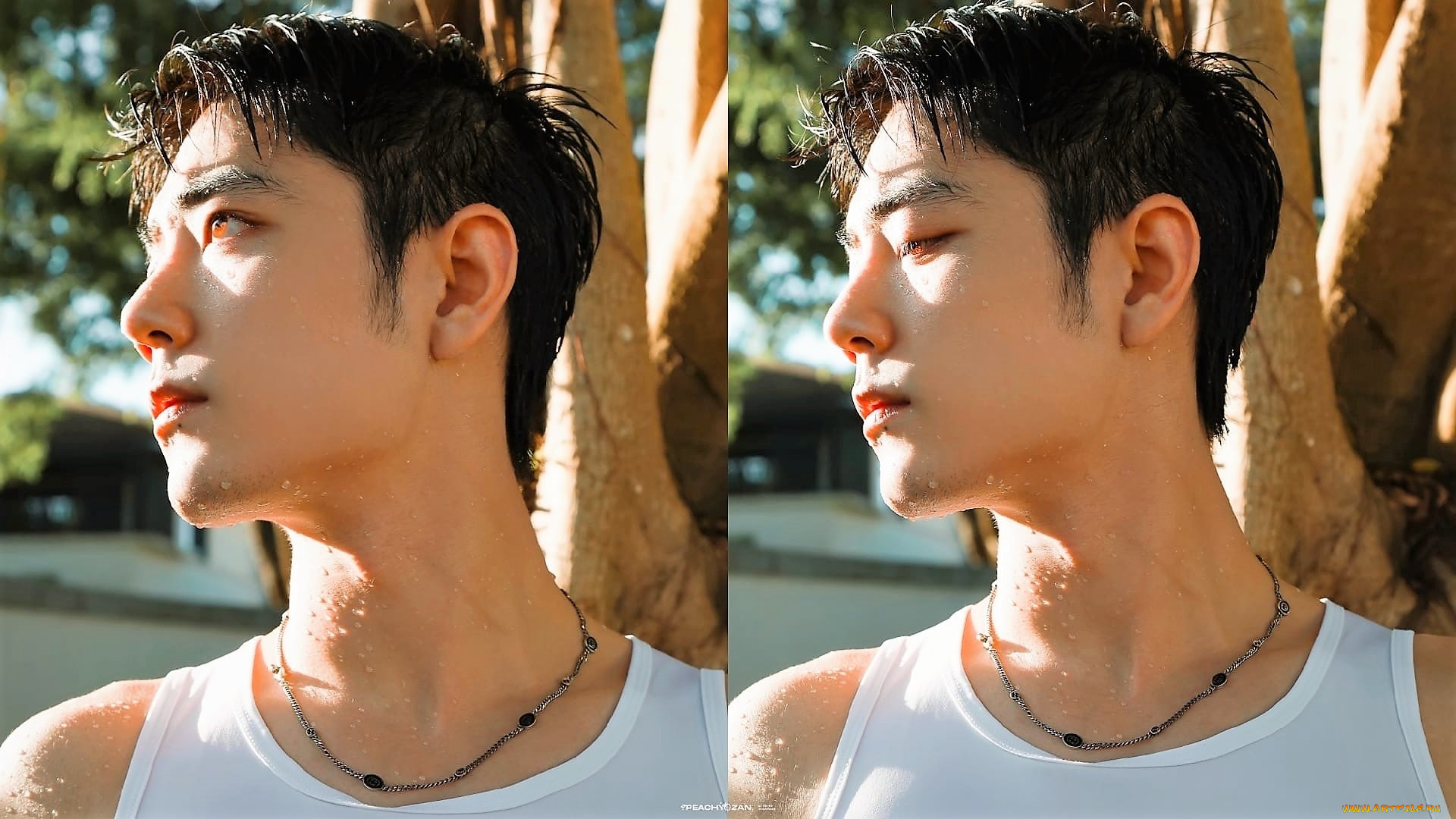 мужчины, xiao, zhan, лицо, майка, цепочка, капли