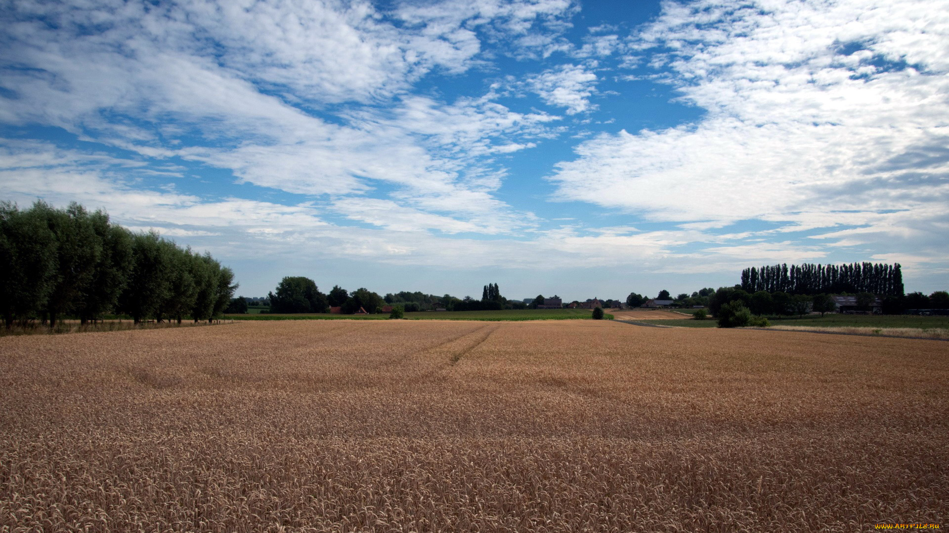 природа, поля, небо, поле, облака