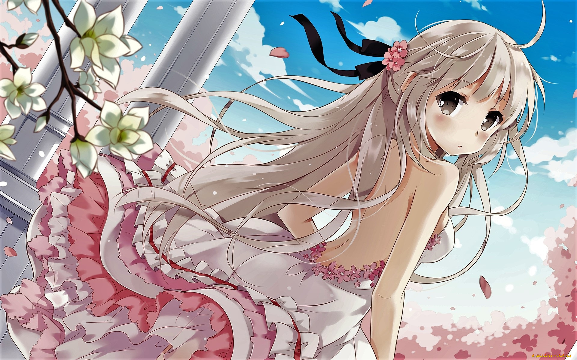 аниме, unknown, , другое, , девочка, окно, цветение