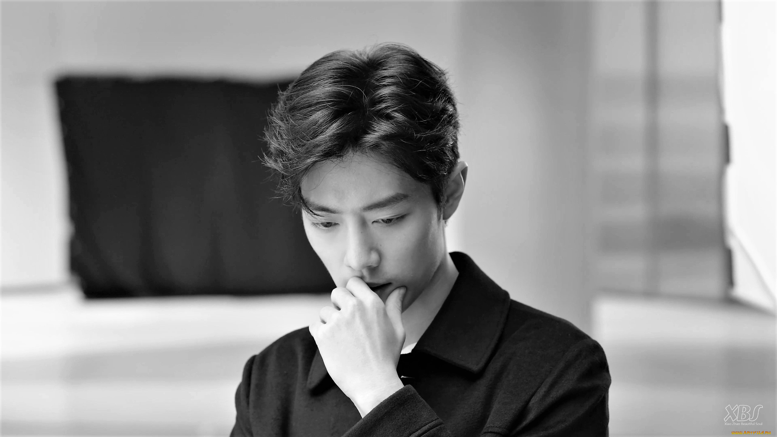 мужчины, xiao, zhan, актер, лицо, рубашка