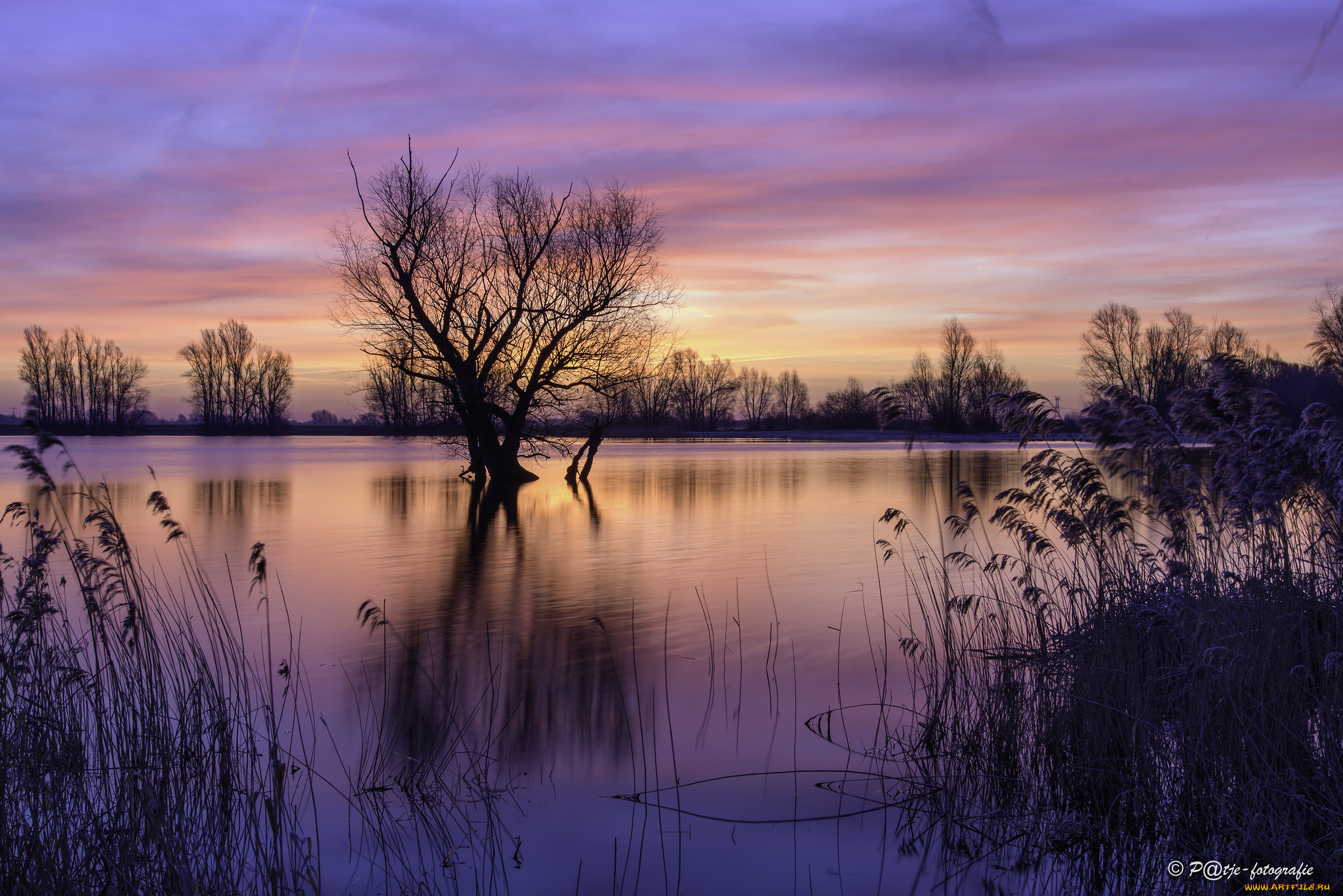природа, реки, озера, озеро