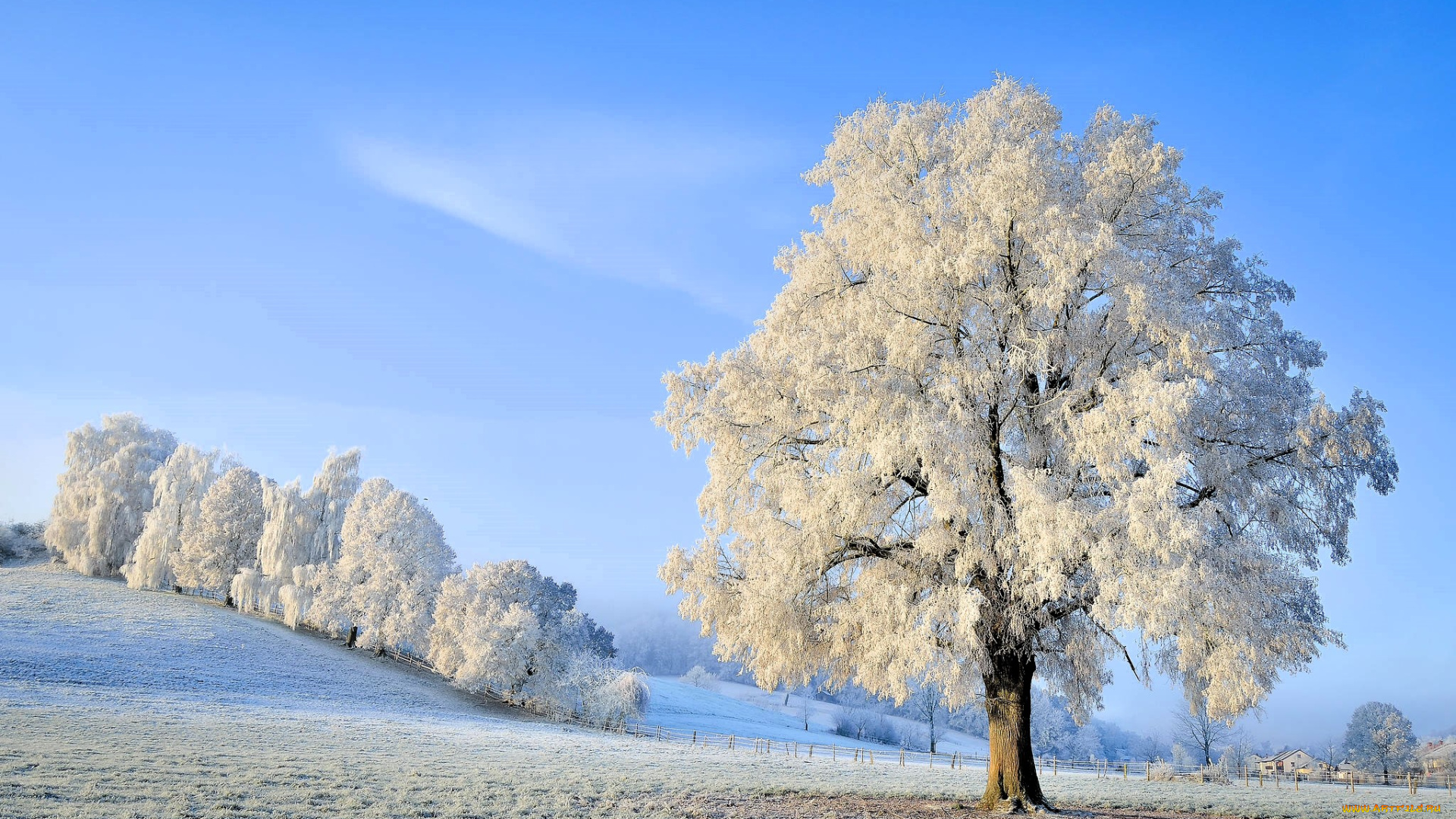природа, деревья, снег, зима, иней, холмы
