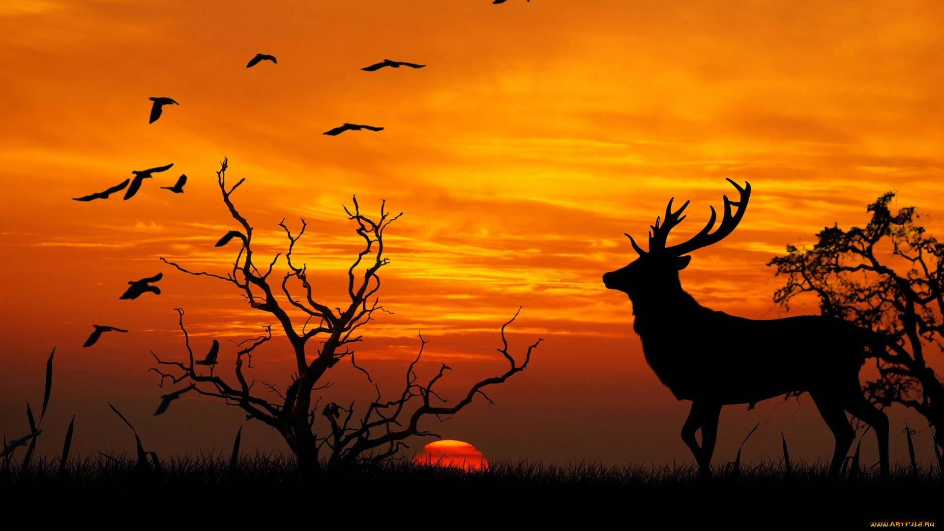 векторная, графика, животные, , animals, олень, деревья, птицы, закат, силуэты
