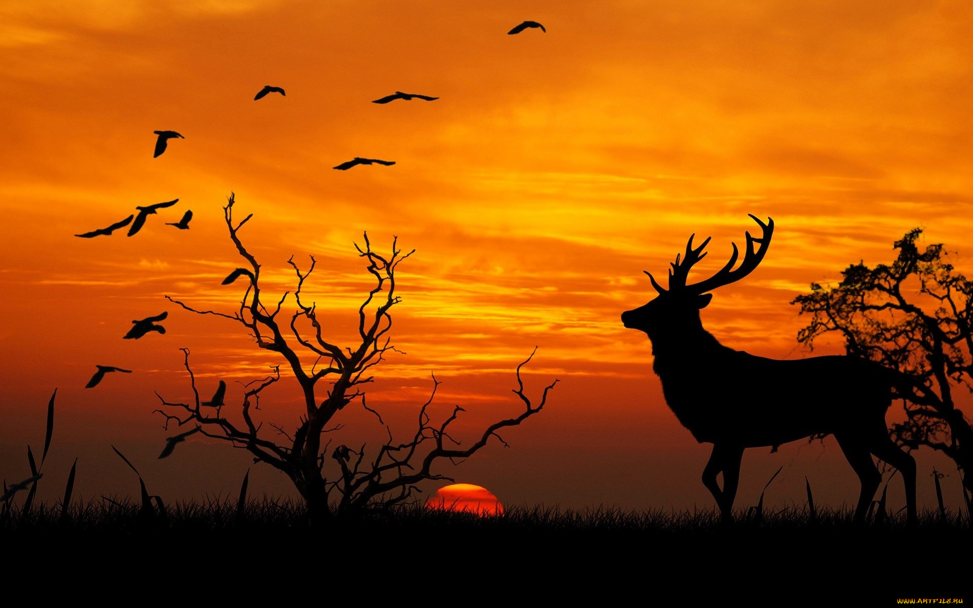 векторная, графика, животные, , animals, олень, деревья, птицы, закат, силуэты