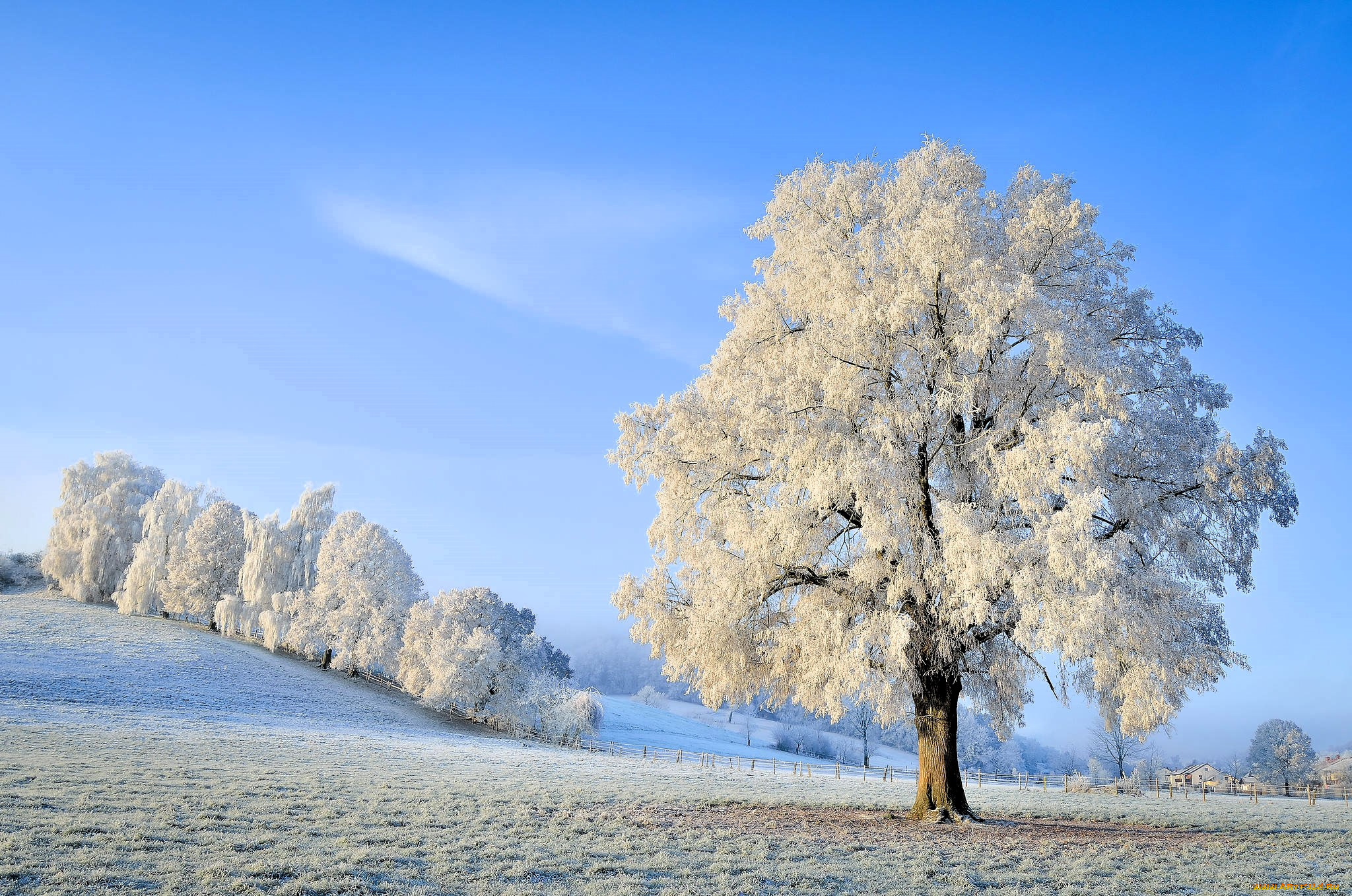 природа, деревья, снег, зима, иней, холмы