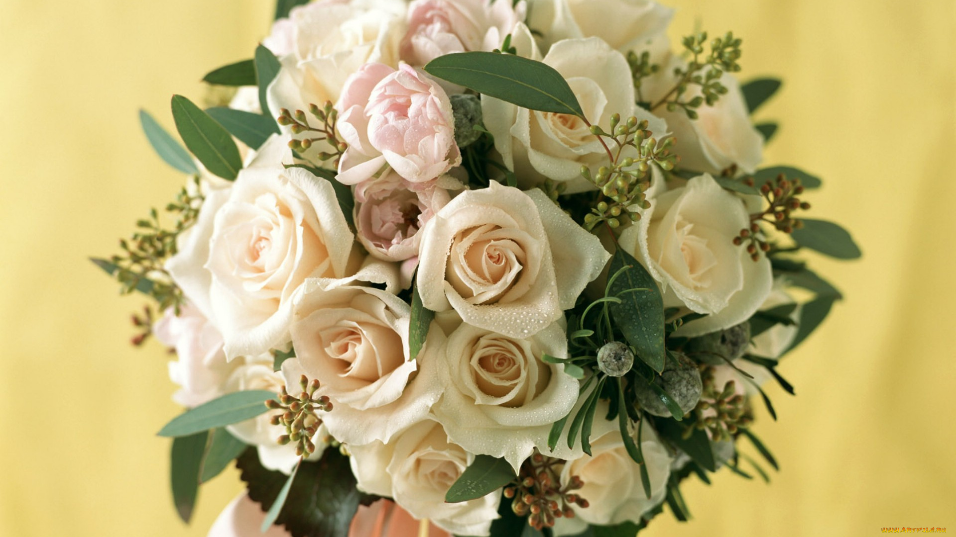 цветы, букеты, композиции