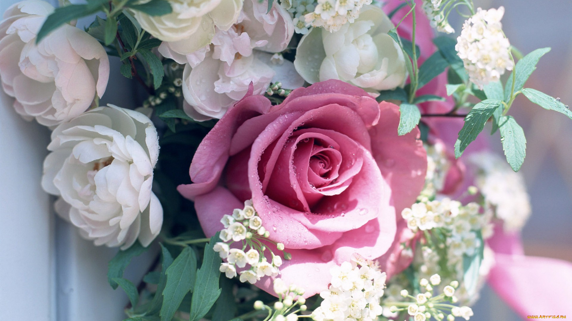 цветы, букеты, композиции