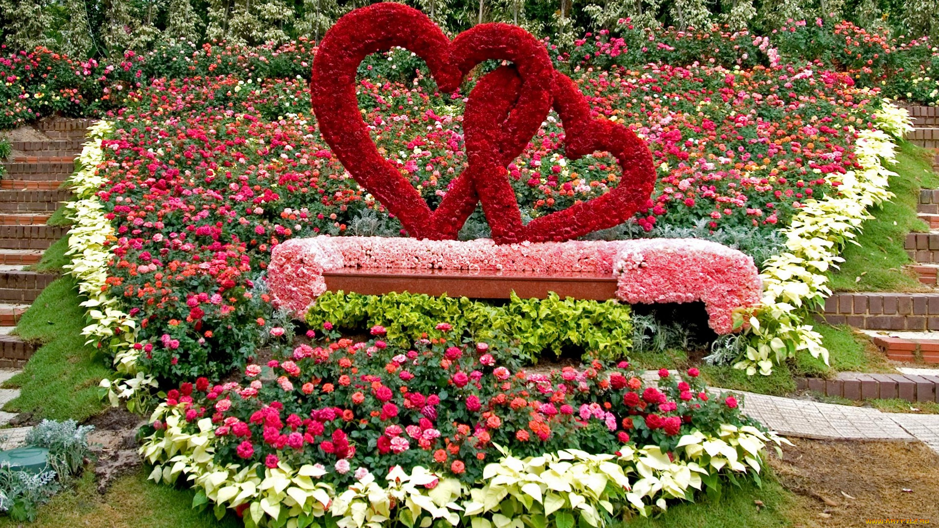 цветы, разные, вместе