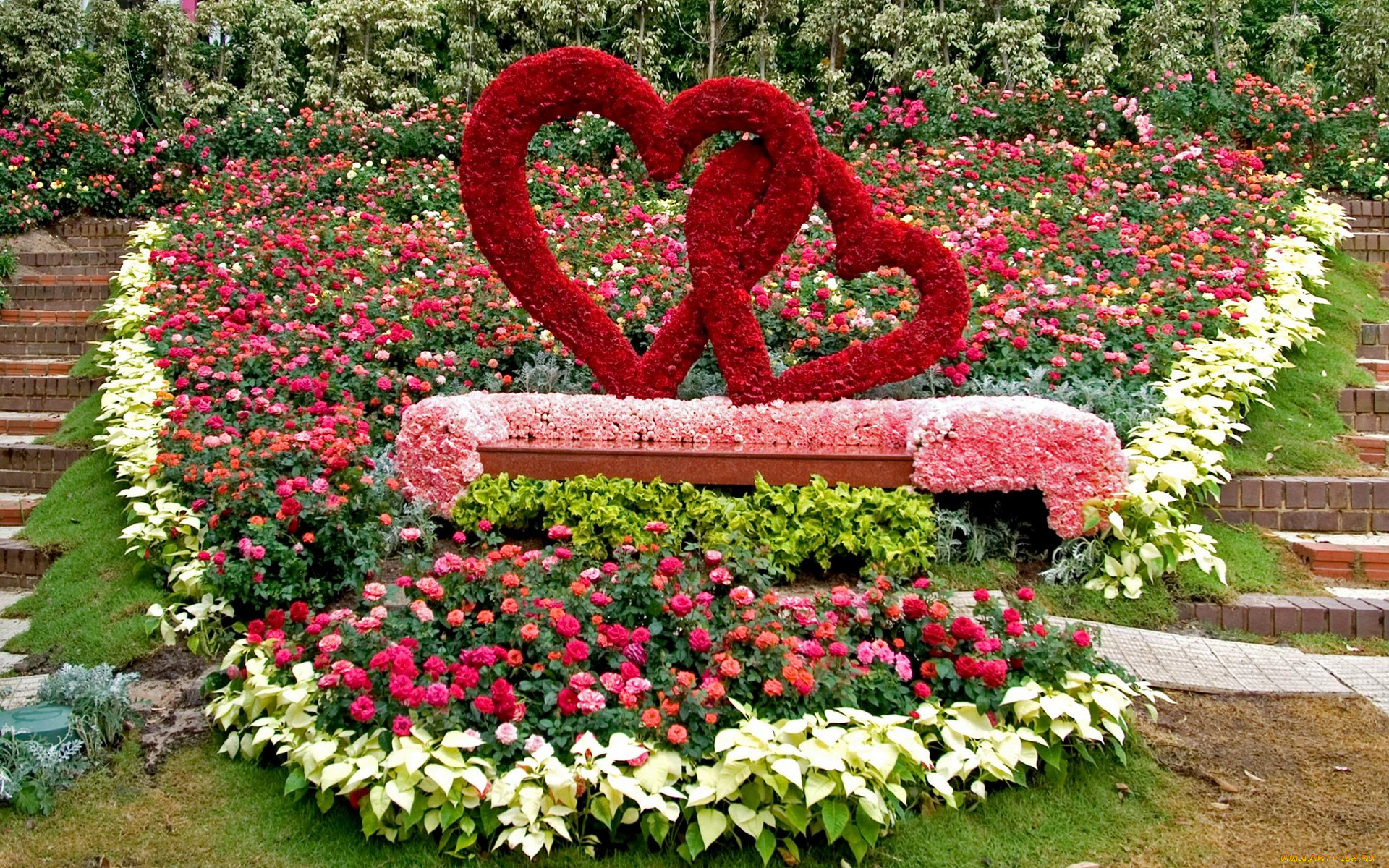 цветы, разные, вместе