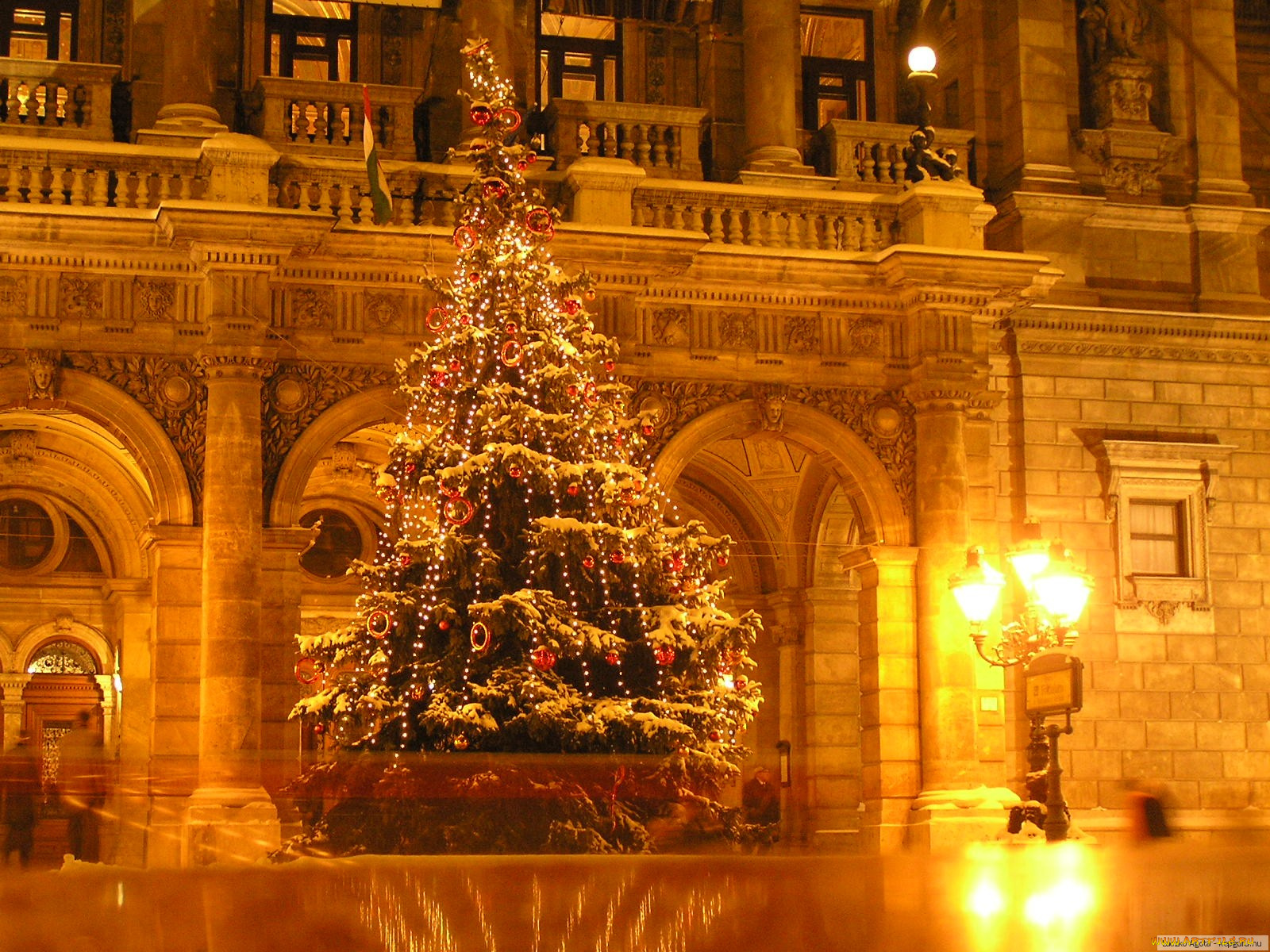 праздничные, Ёлки, елка, праздник, огни