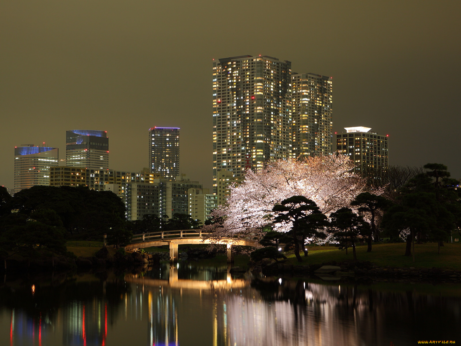 токио, города, Япония