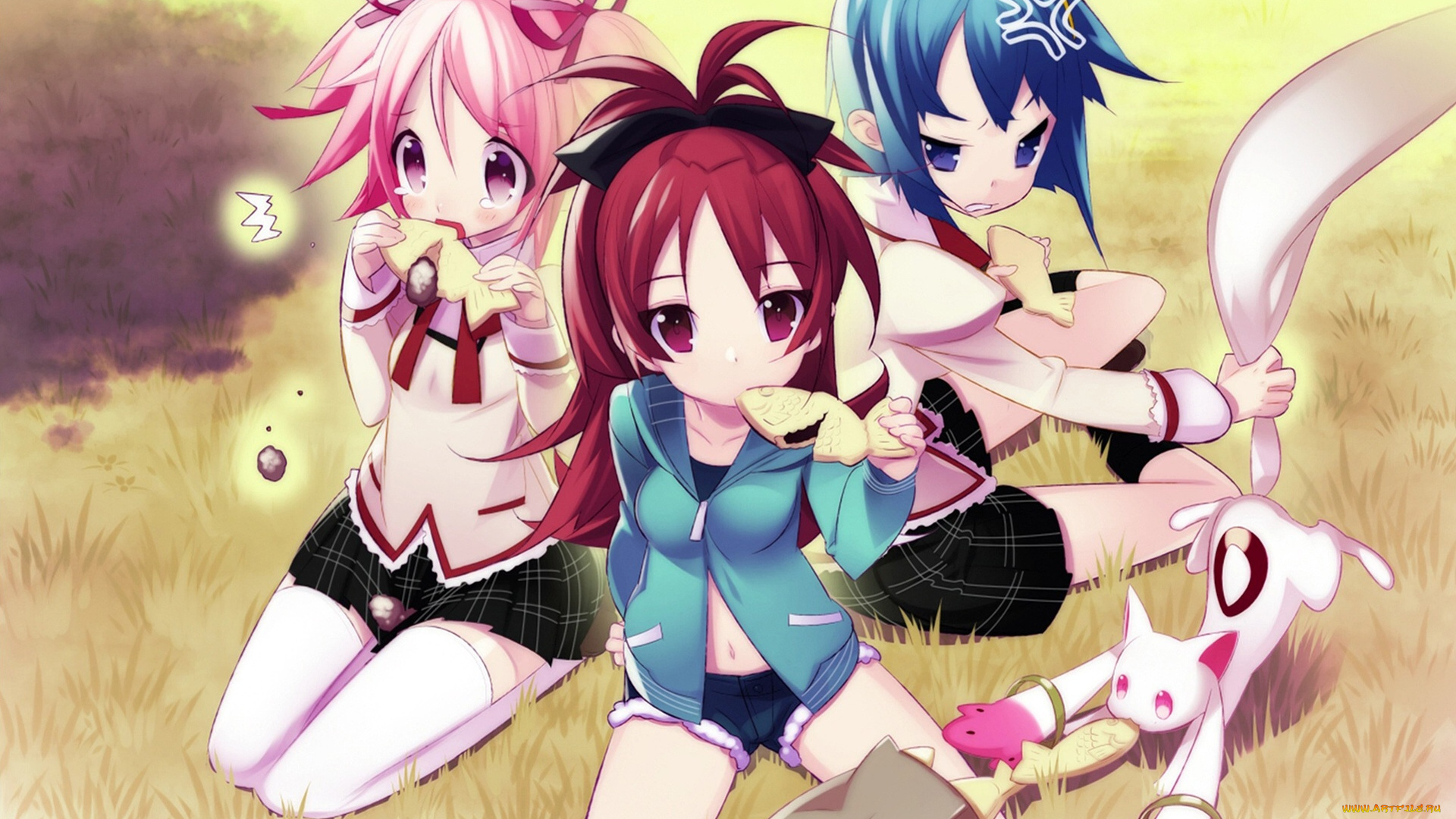 аниме, mahou, shoujo, madoka, magika, девушки