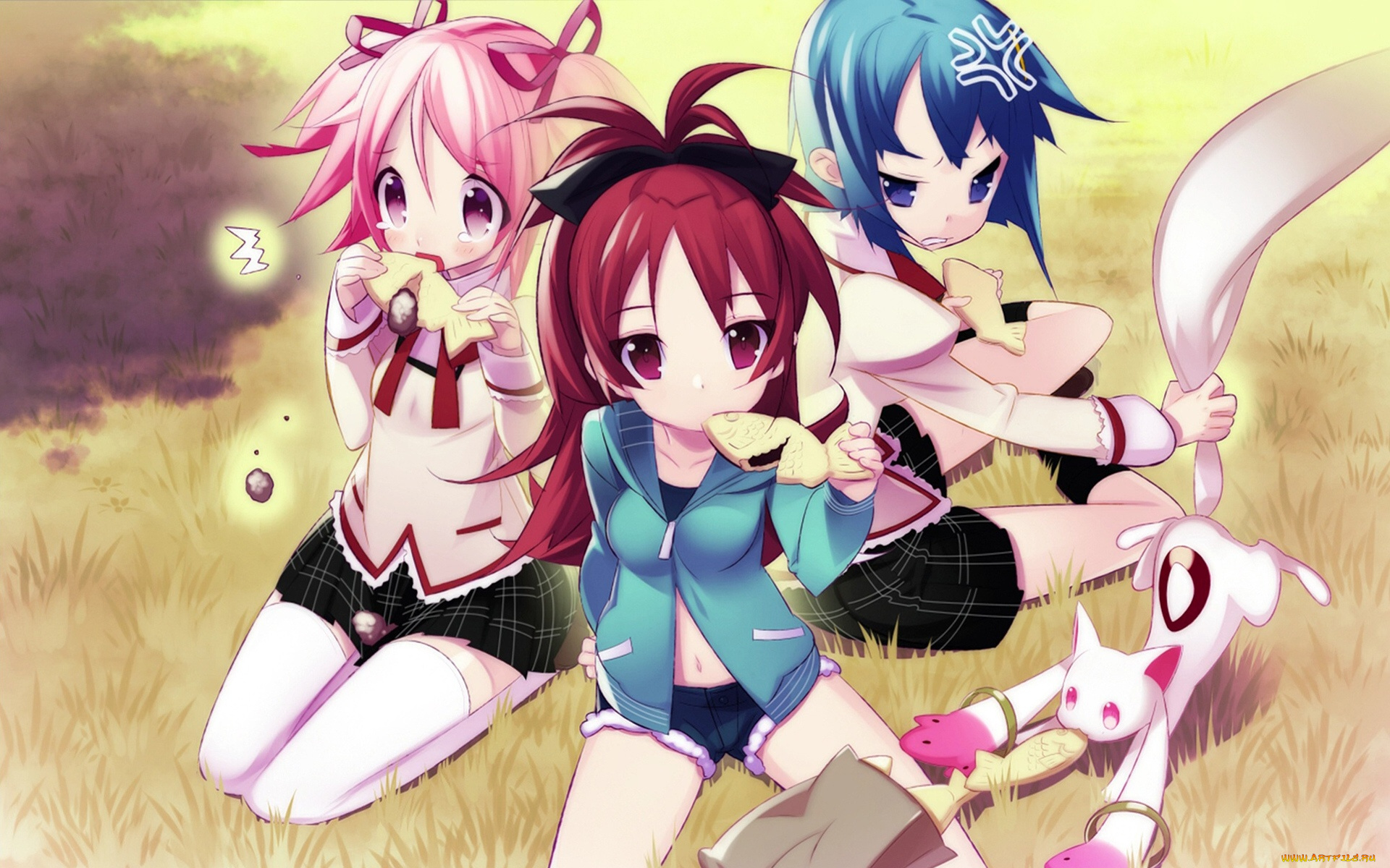 аниме, mahou, shoujo, madoka, magika, девушки