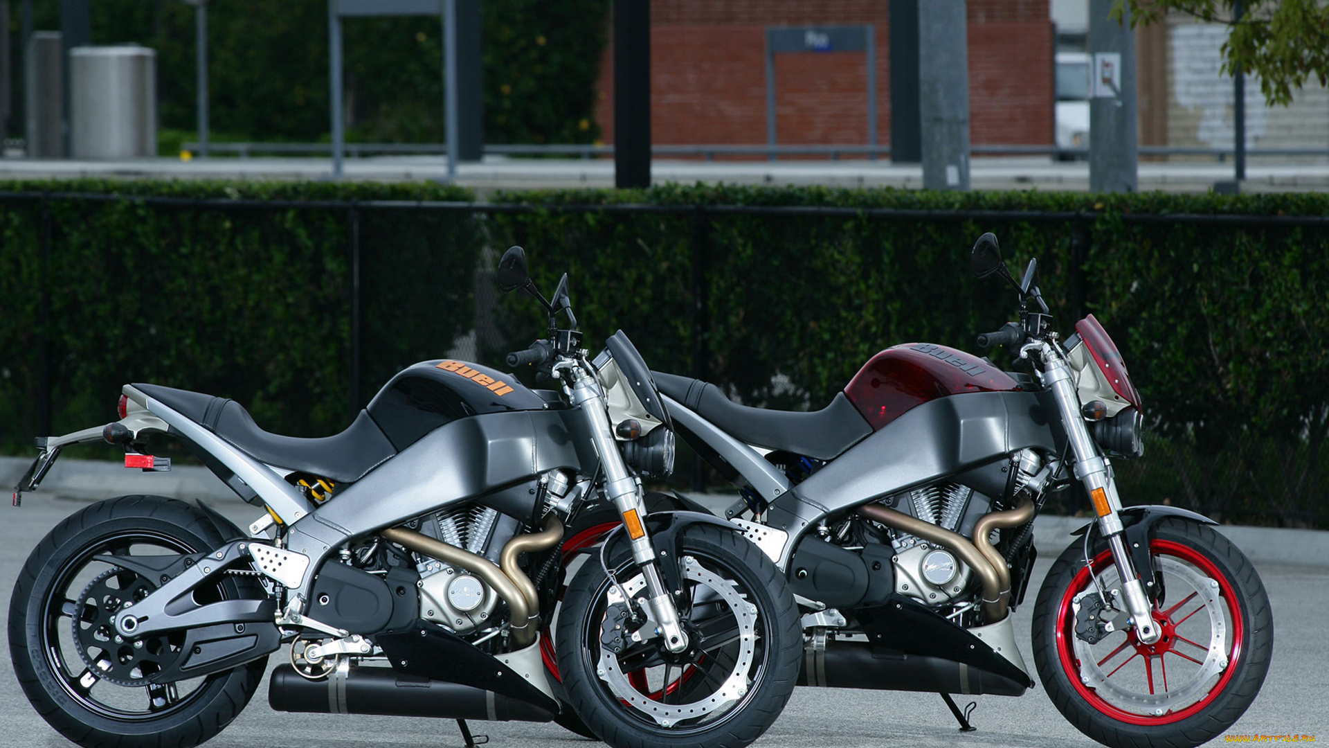 мотоциклы, buell