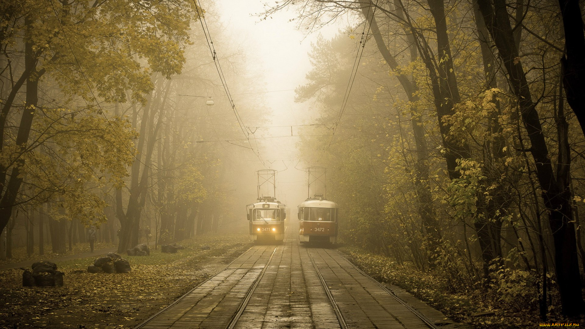 техника, трамваи, туман