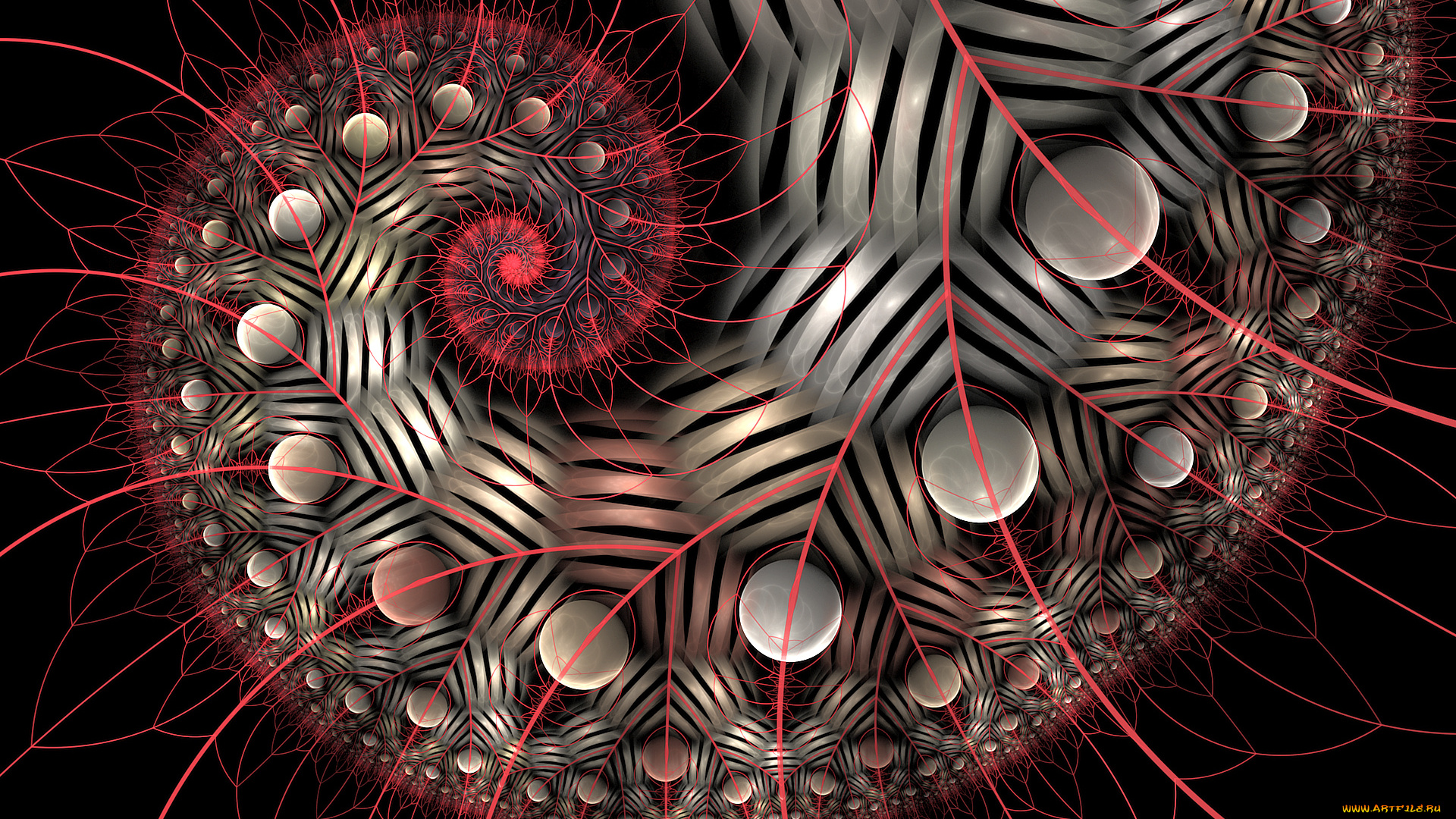 3д, графика, fractal, , фракталы, фон, цвета, узор