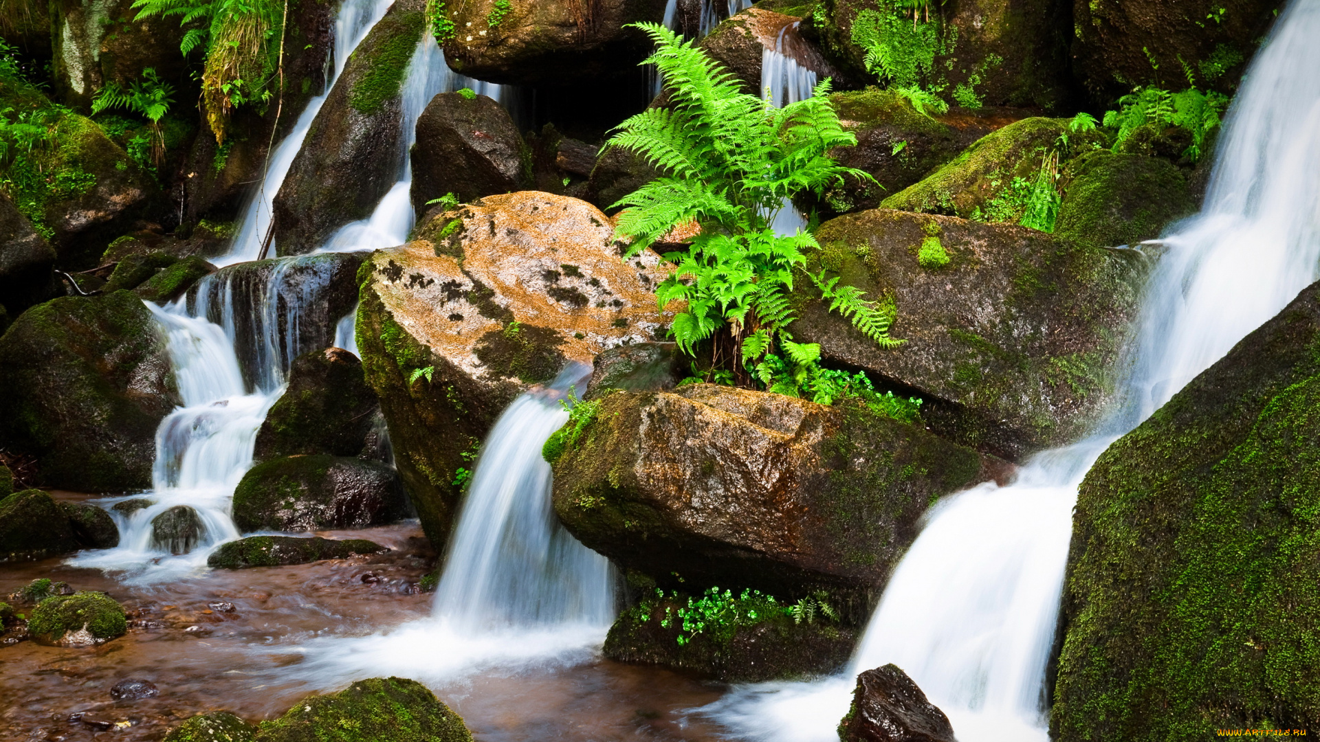 природа, водопады, лес, ручей, камни, скалы, река