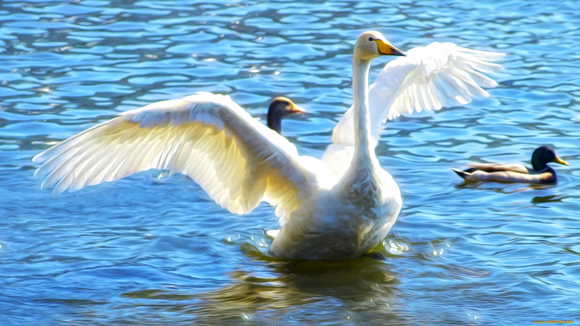 рисованные, животные, , птицы, , лебеди, лебедь, озеро, утки