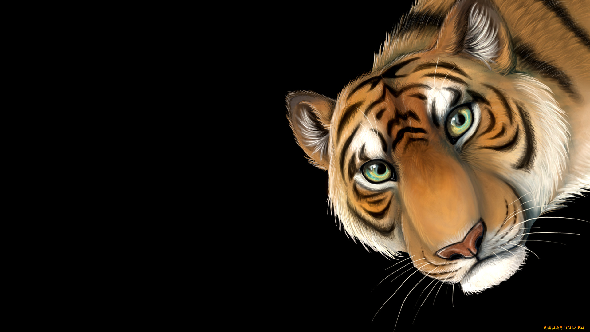 тигр, рисованные, животные, , тигры, темный, фон