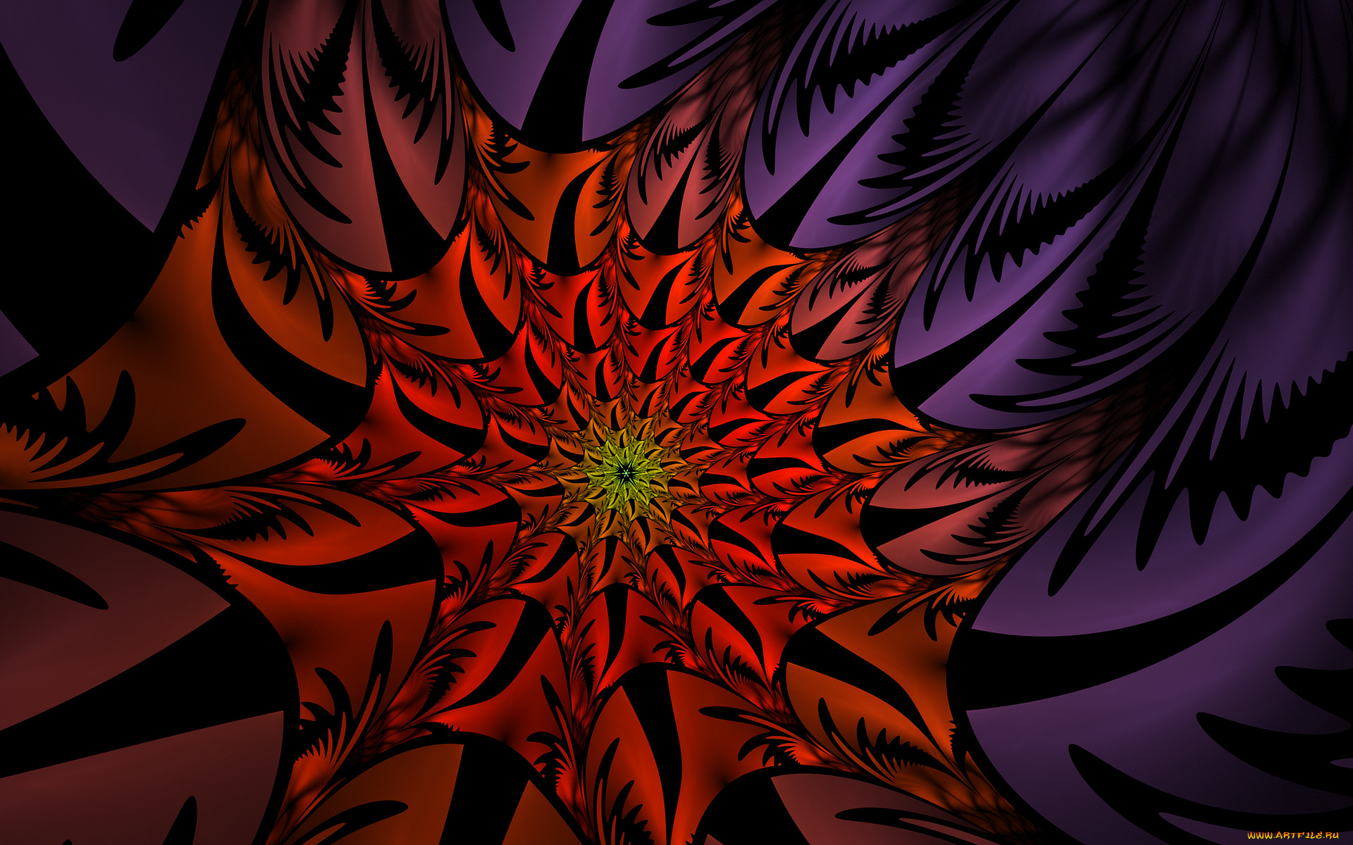 3д, графика, fractal, , фракталы, фон, цвета, узор