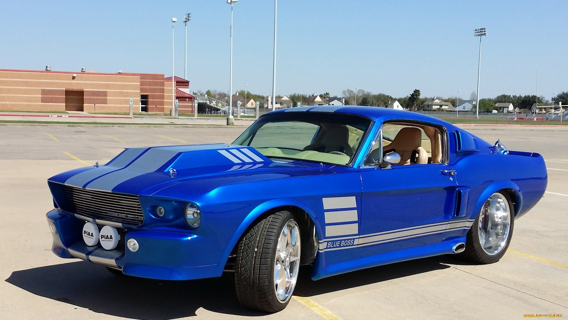 автомобили, mustang