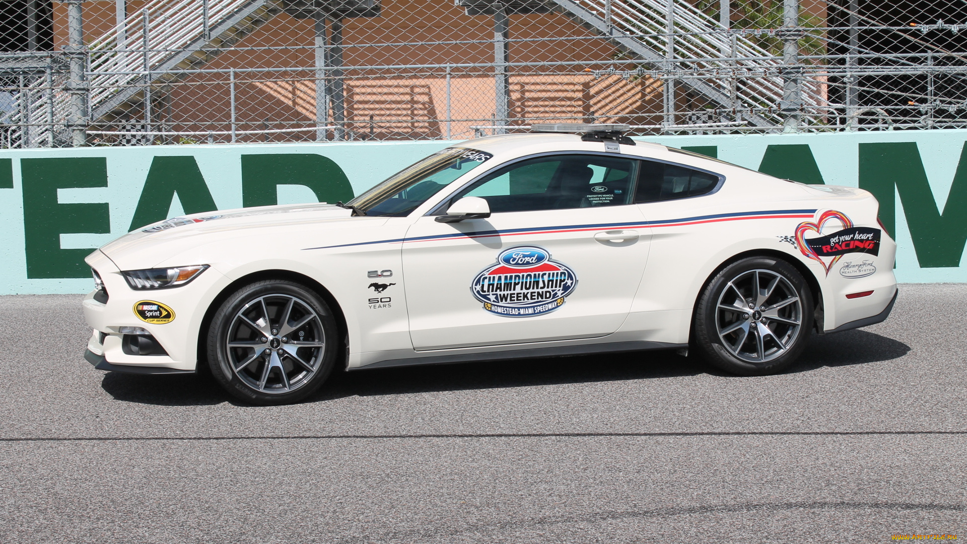 автомобили, mustang, car, pace, nascar, 50, years, gt, ford, 2015, г