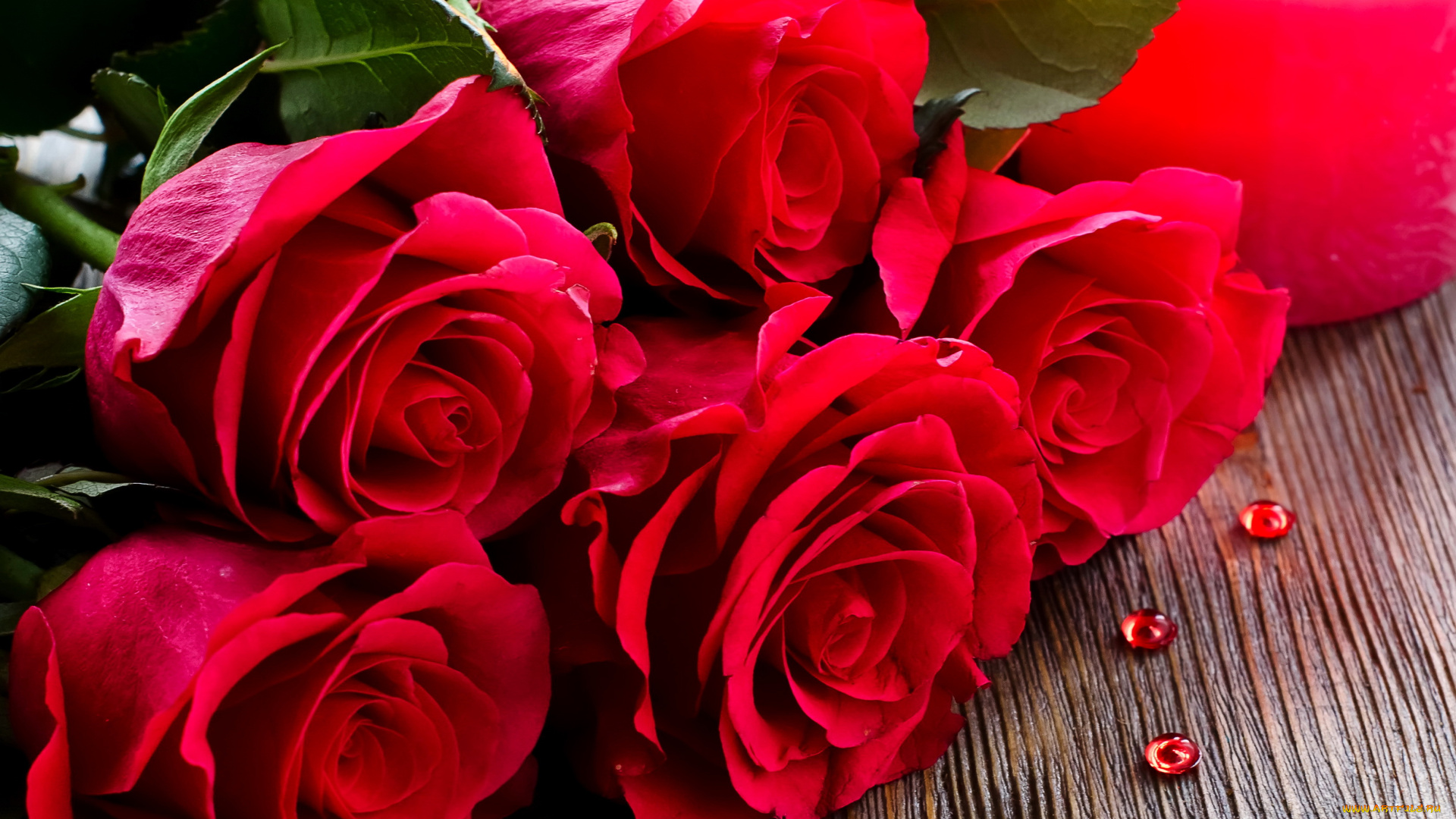 цветы, розы, красные, букет