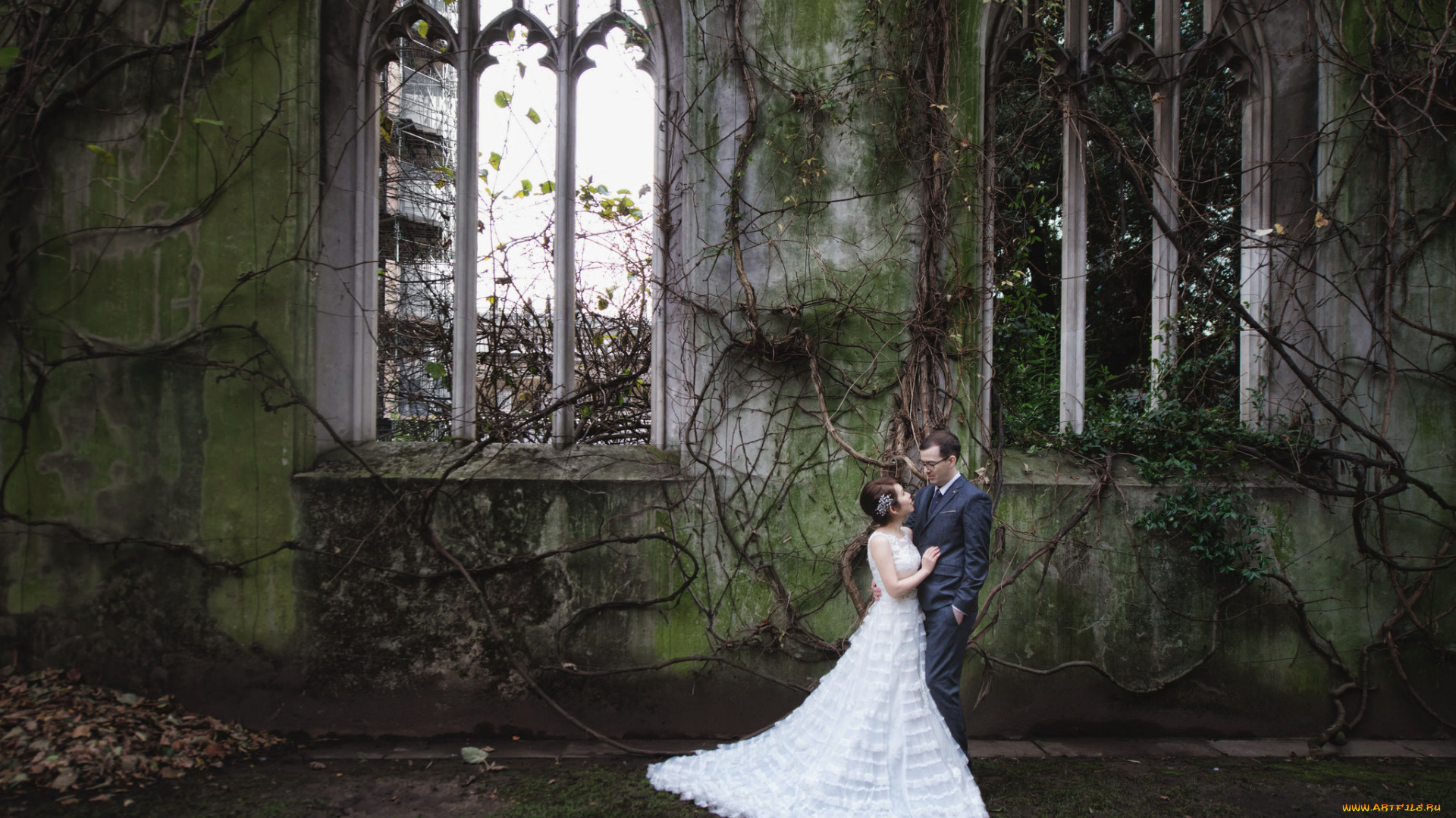 разное, мужчина, женщина, окна, руины, свадьба, девушка, парень, любовь, арки, растения, романтика