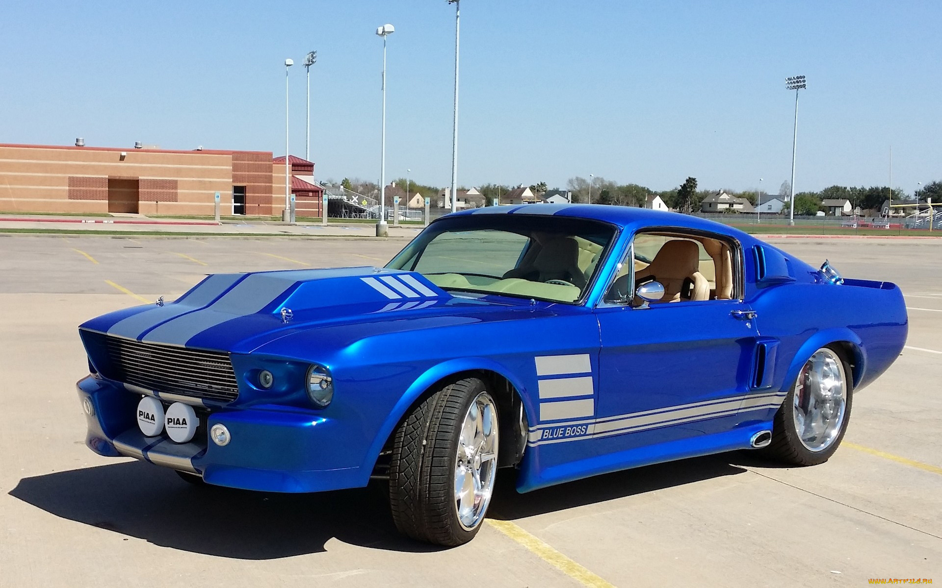 автомобили, mustang