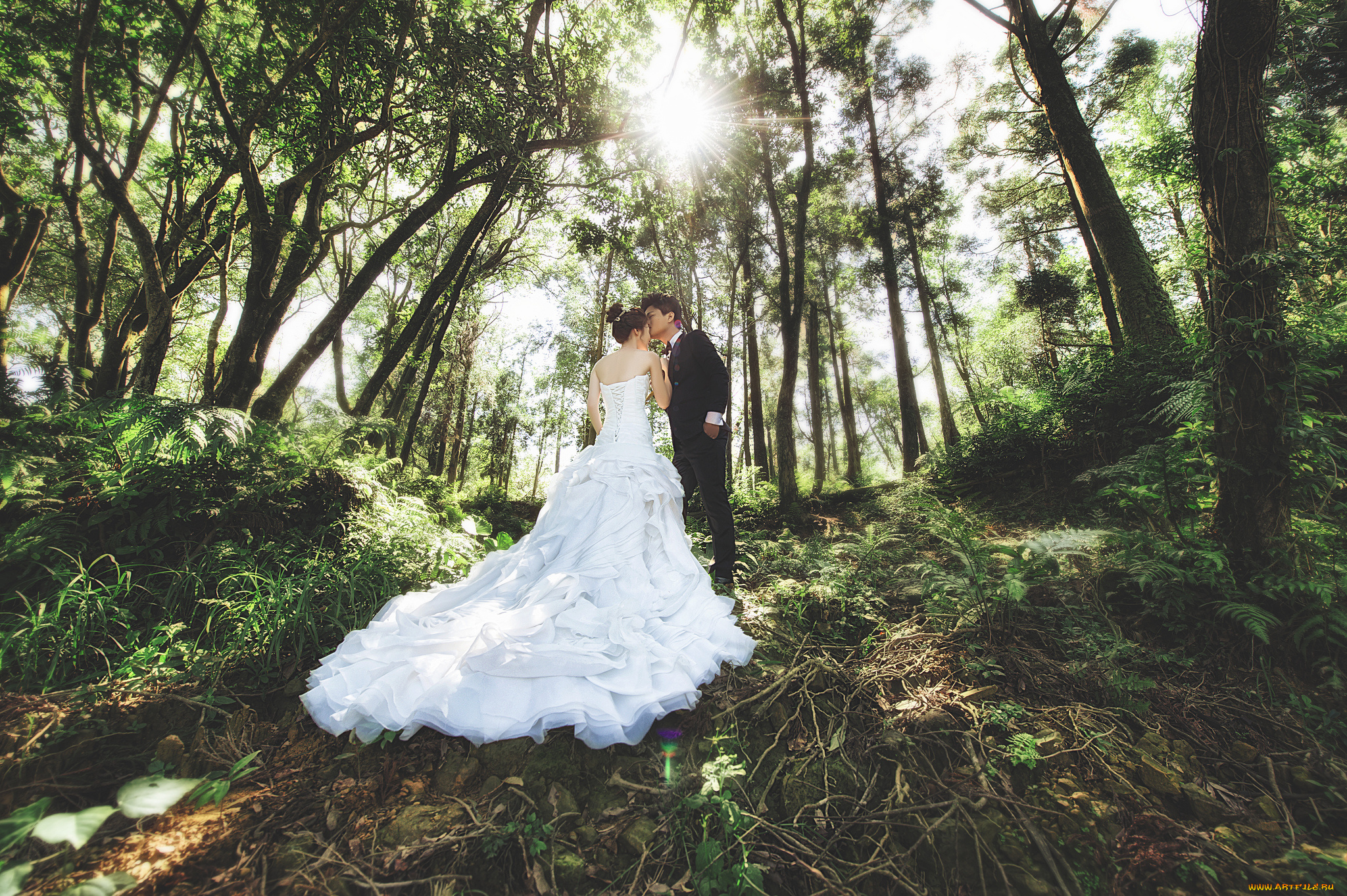 разное, мужчина, женщина, лес, романтика, свадьба, пара, девушка, солнечно, деревья, свет, парень, любовь